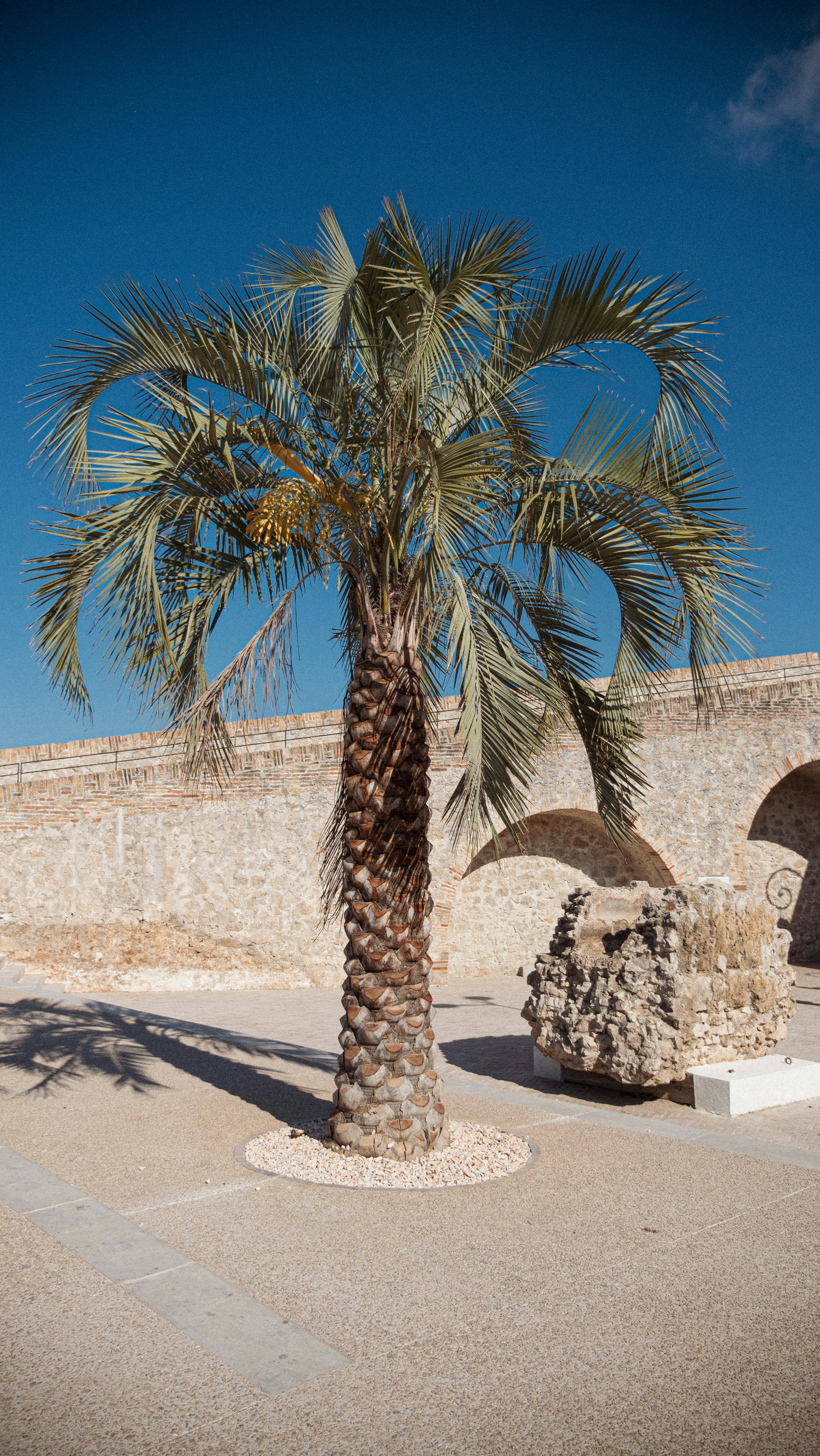Photo by guillaumechabrol