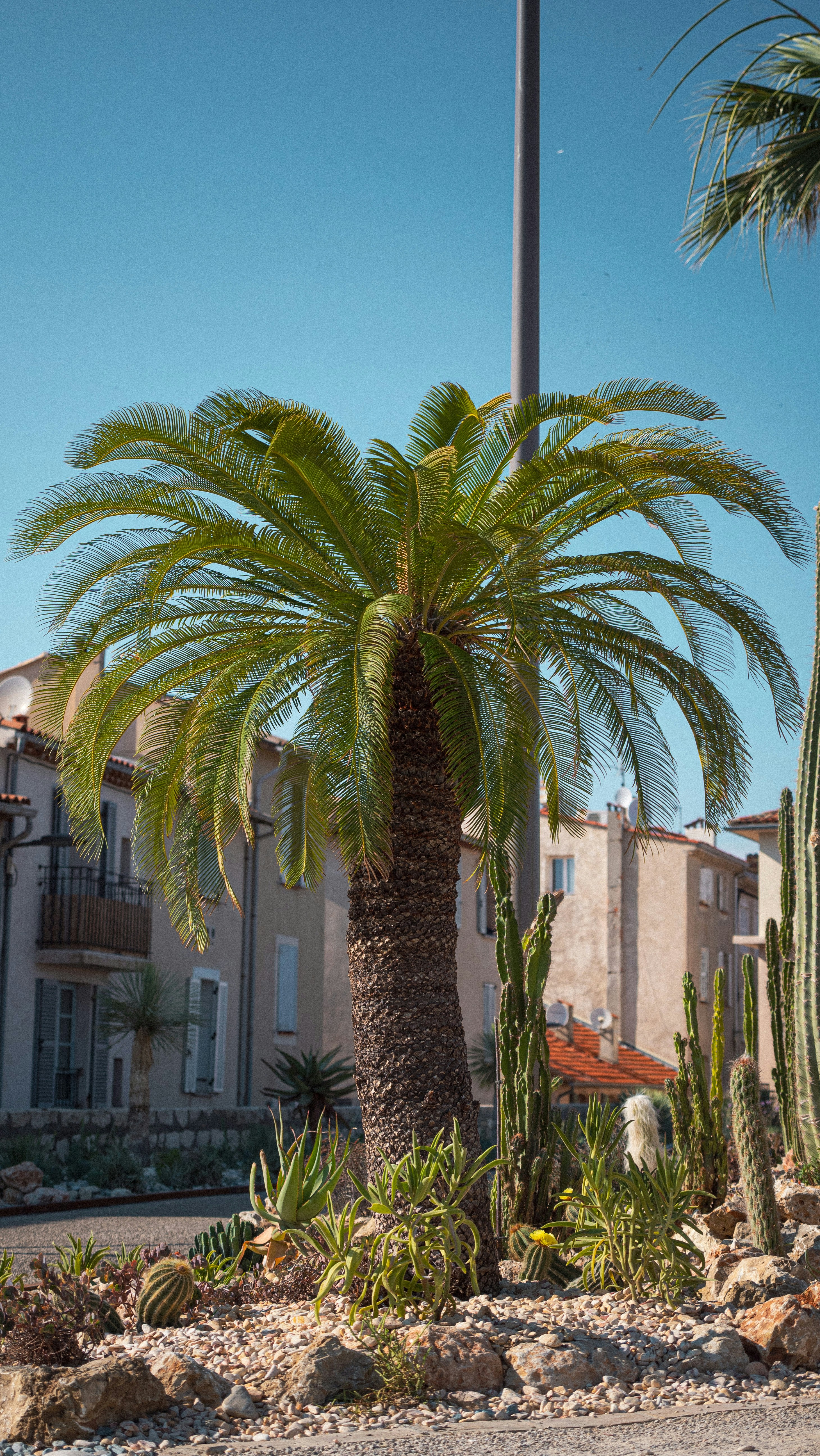 Photo by guillaumechabrol