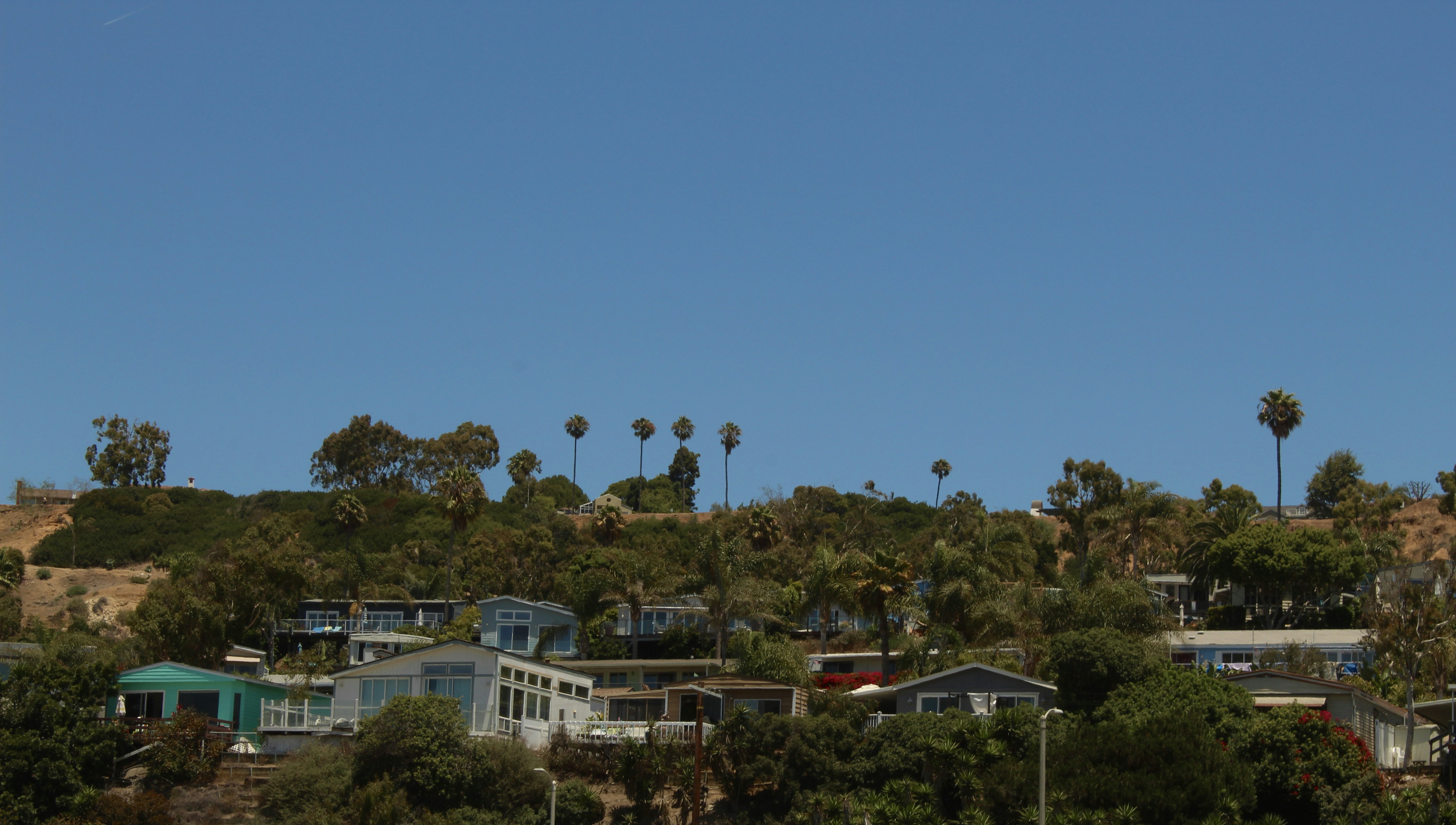 Photo by sample_in_photography