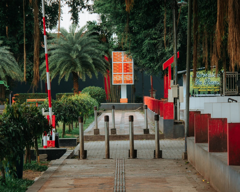 a path with trees and plants on the side