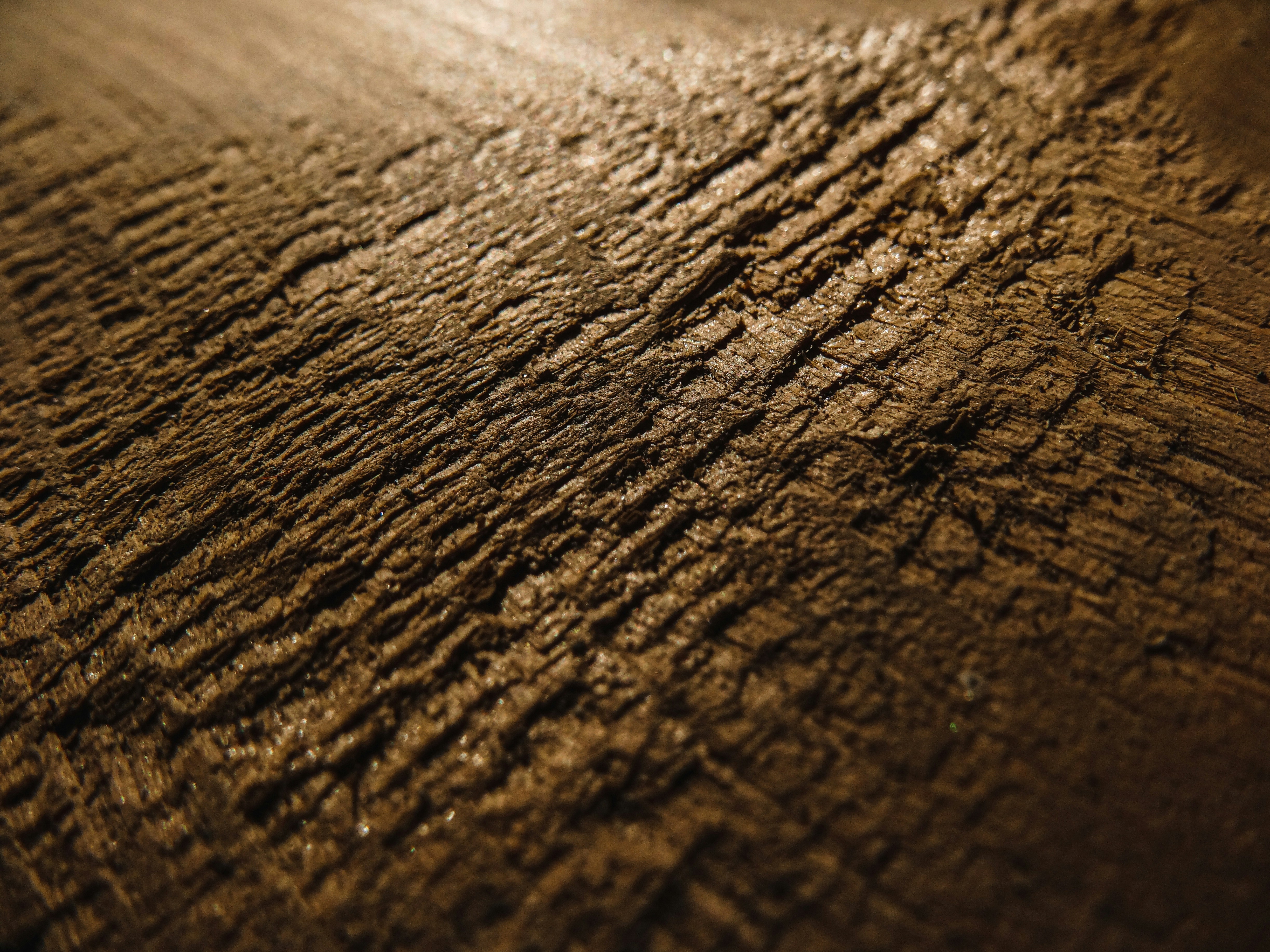 Photo by aayush_khokhar