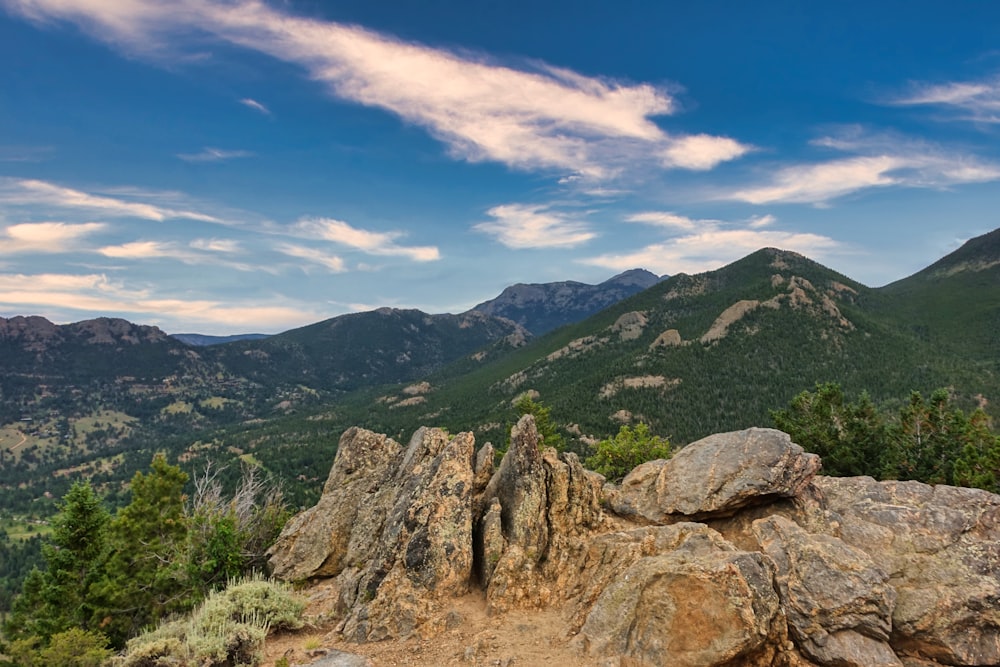 a rocky landscape with trees and mountains in the background