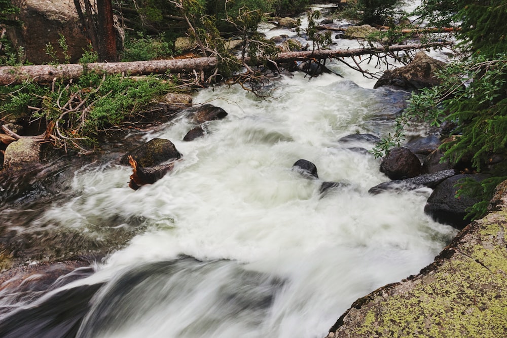 a river with rocks and trees