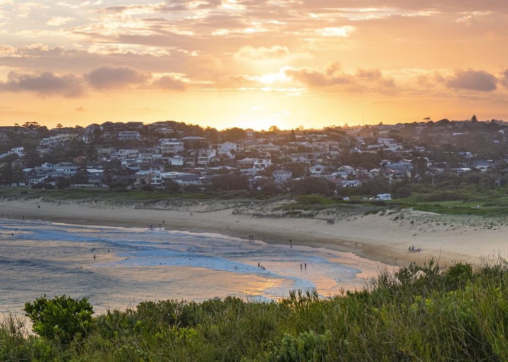 a beach with houses and trees