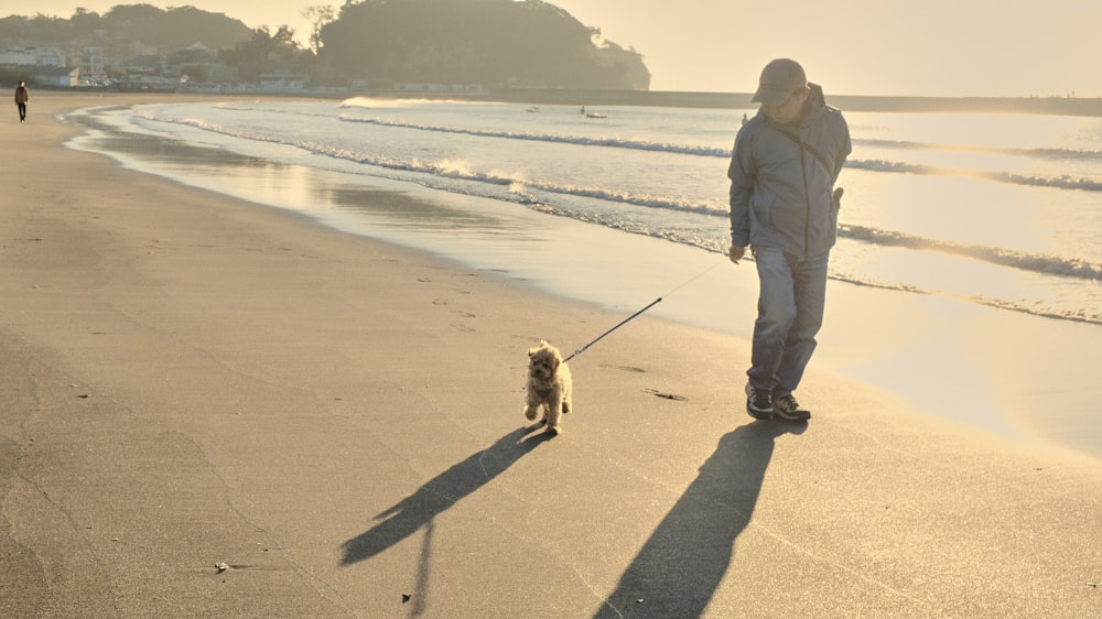 a man walking a dog on a beach