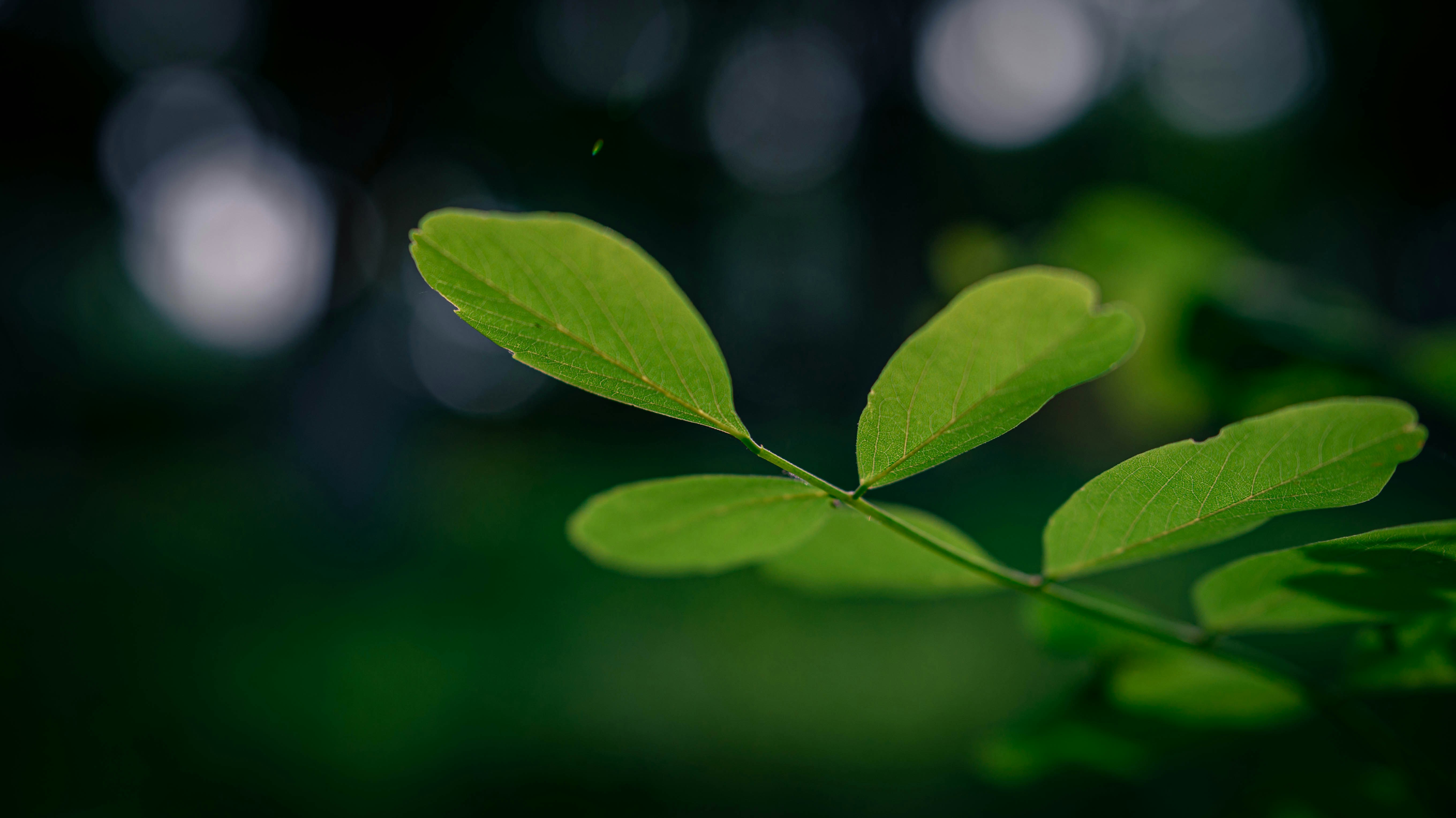 Photo by peek_a_boo_who