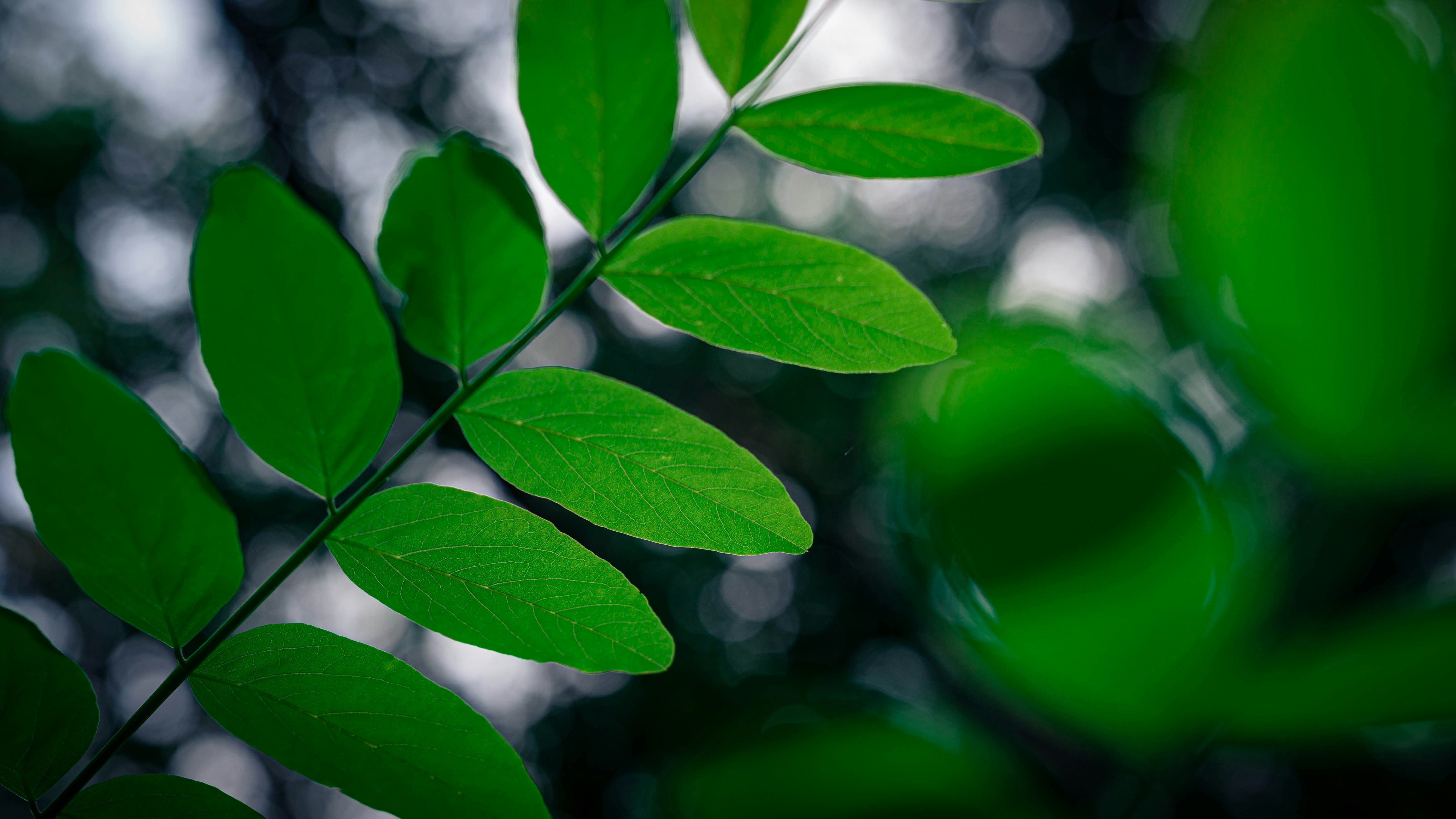 Photo by peek_a_boo_who