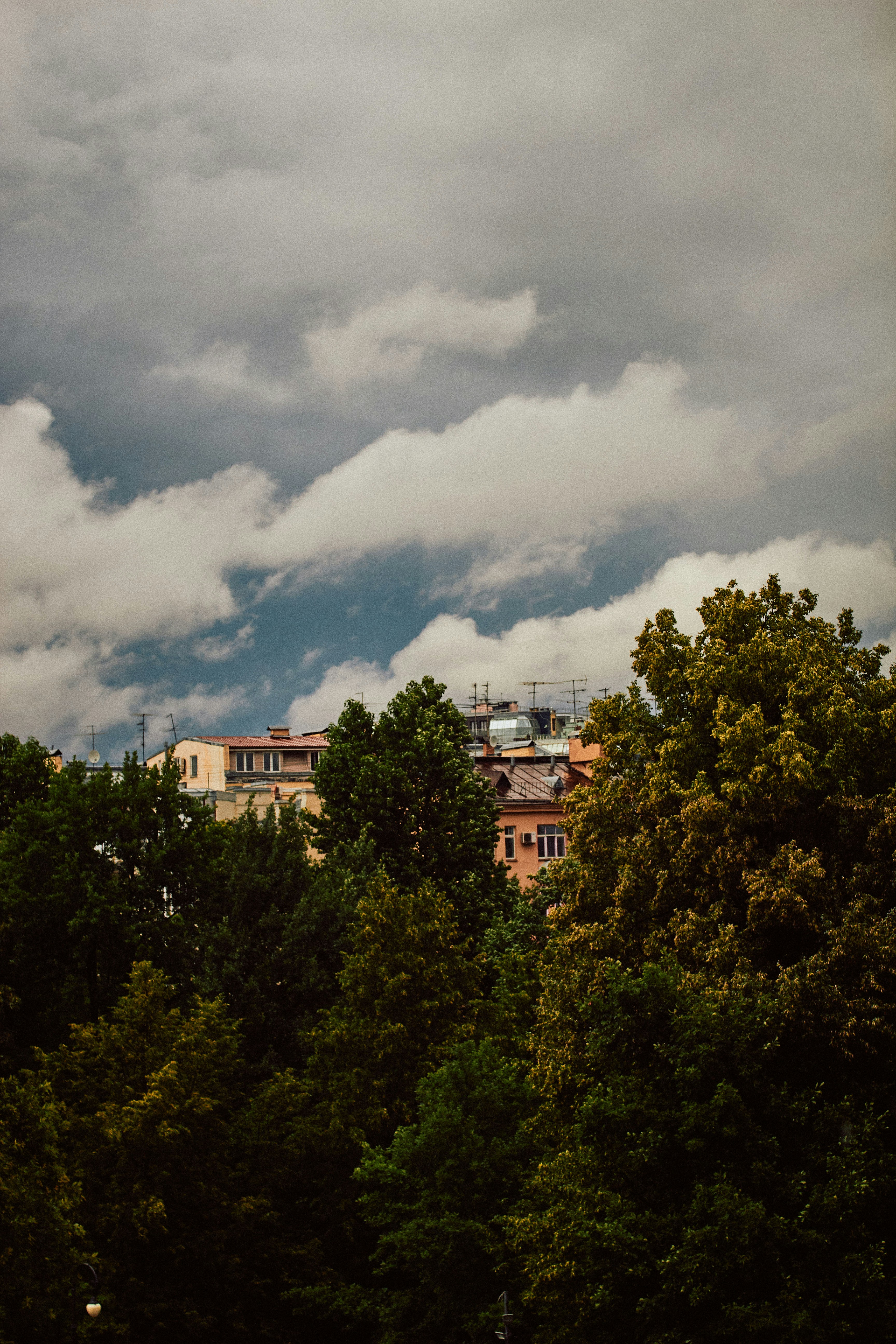 Photo by barsuklis