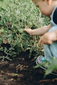 Smiling children exploring a small vegetable garden with care