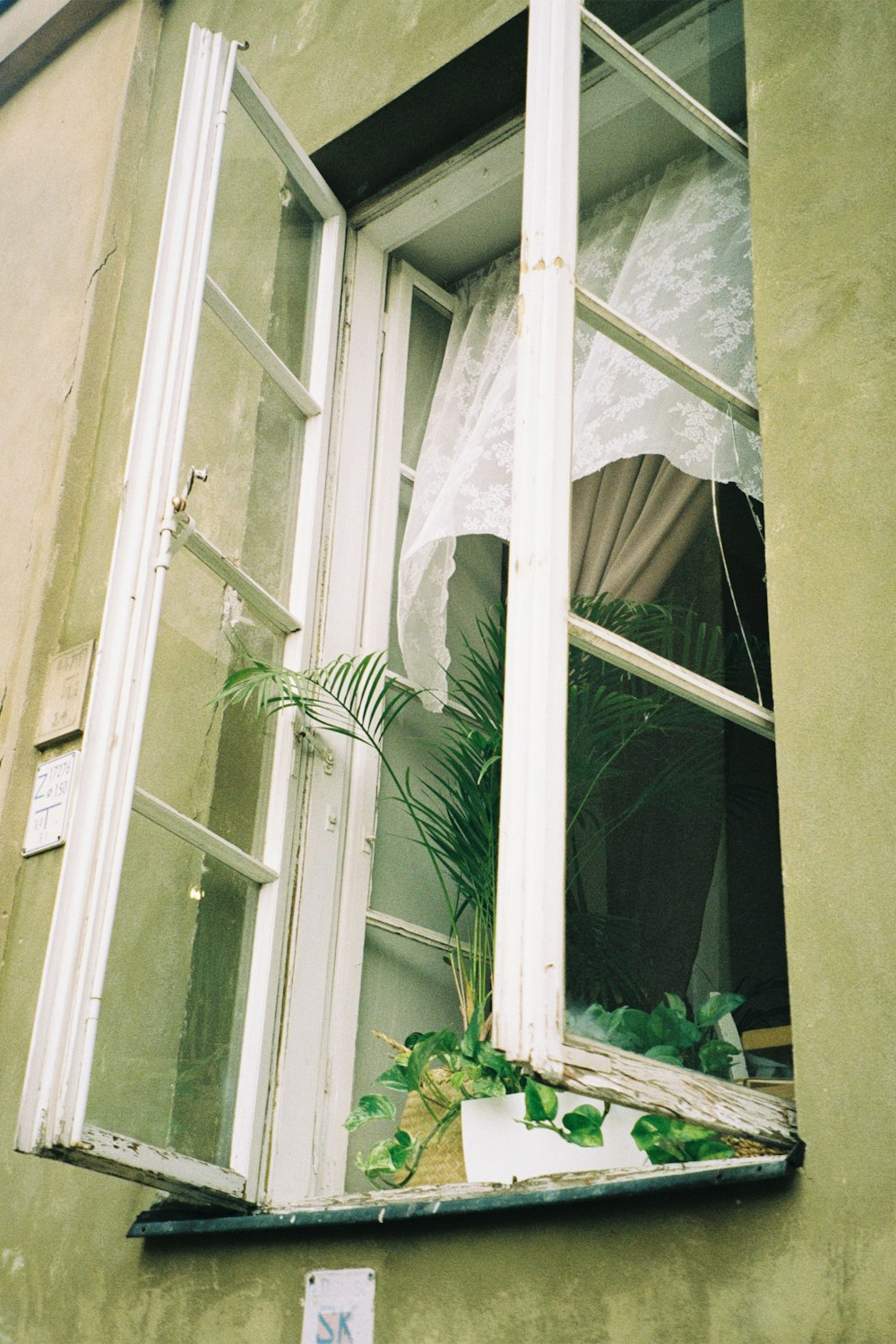 Un gato sentado junto a una ventana