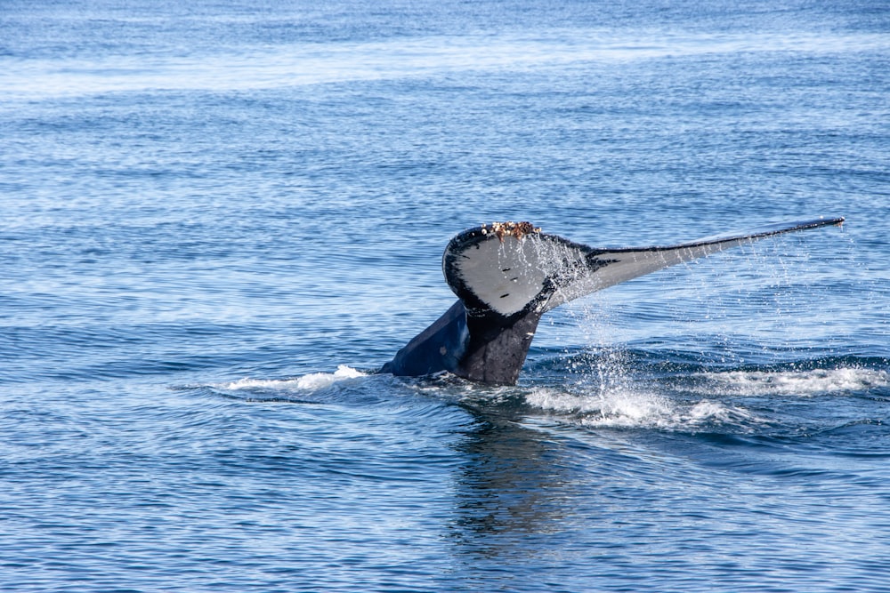 a man riding a wave on top of a body of water