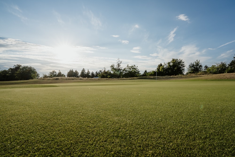 a large green field