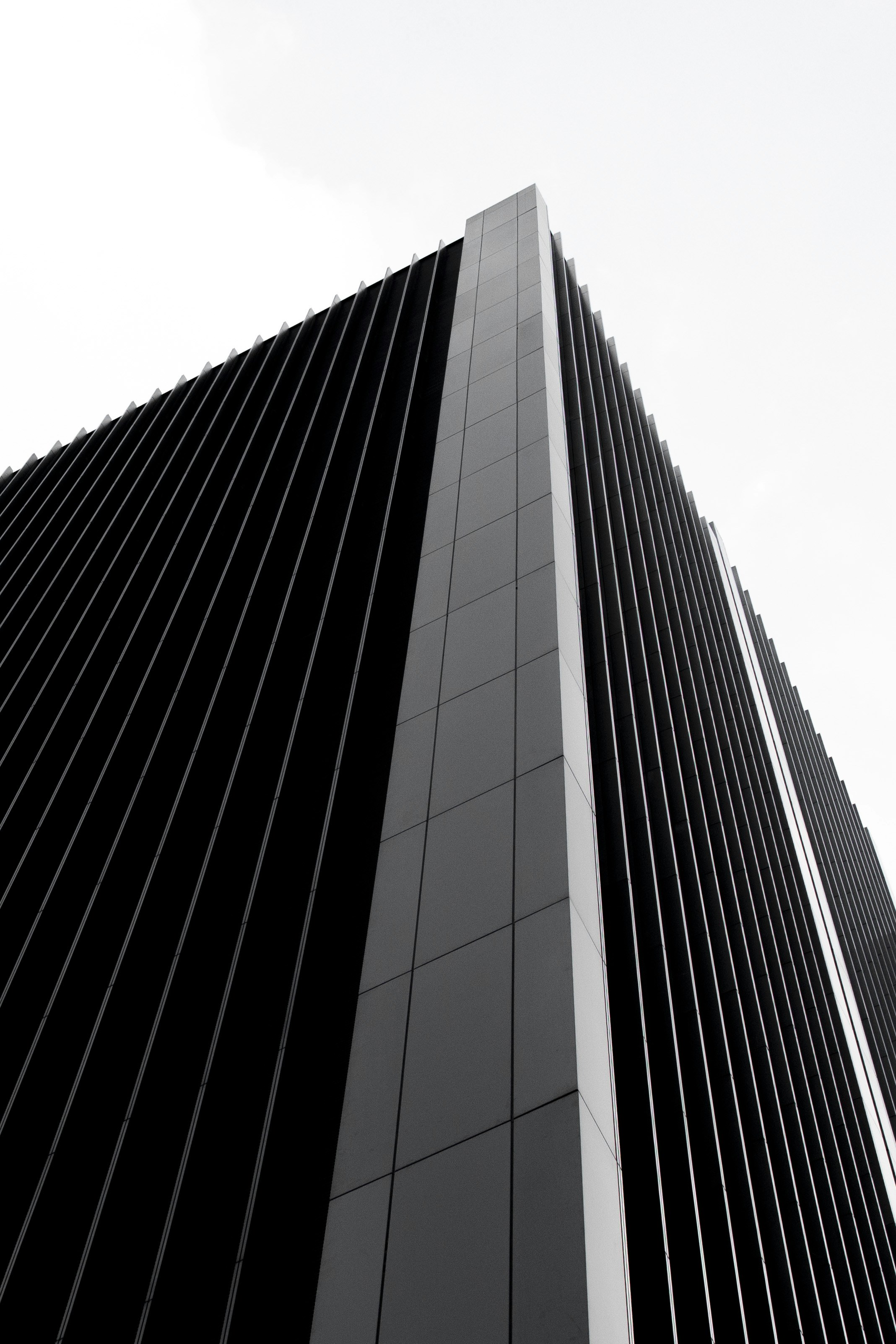 Photo by robin___the___bird