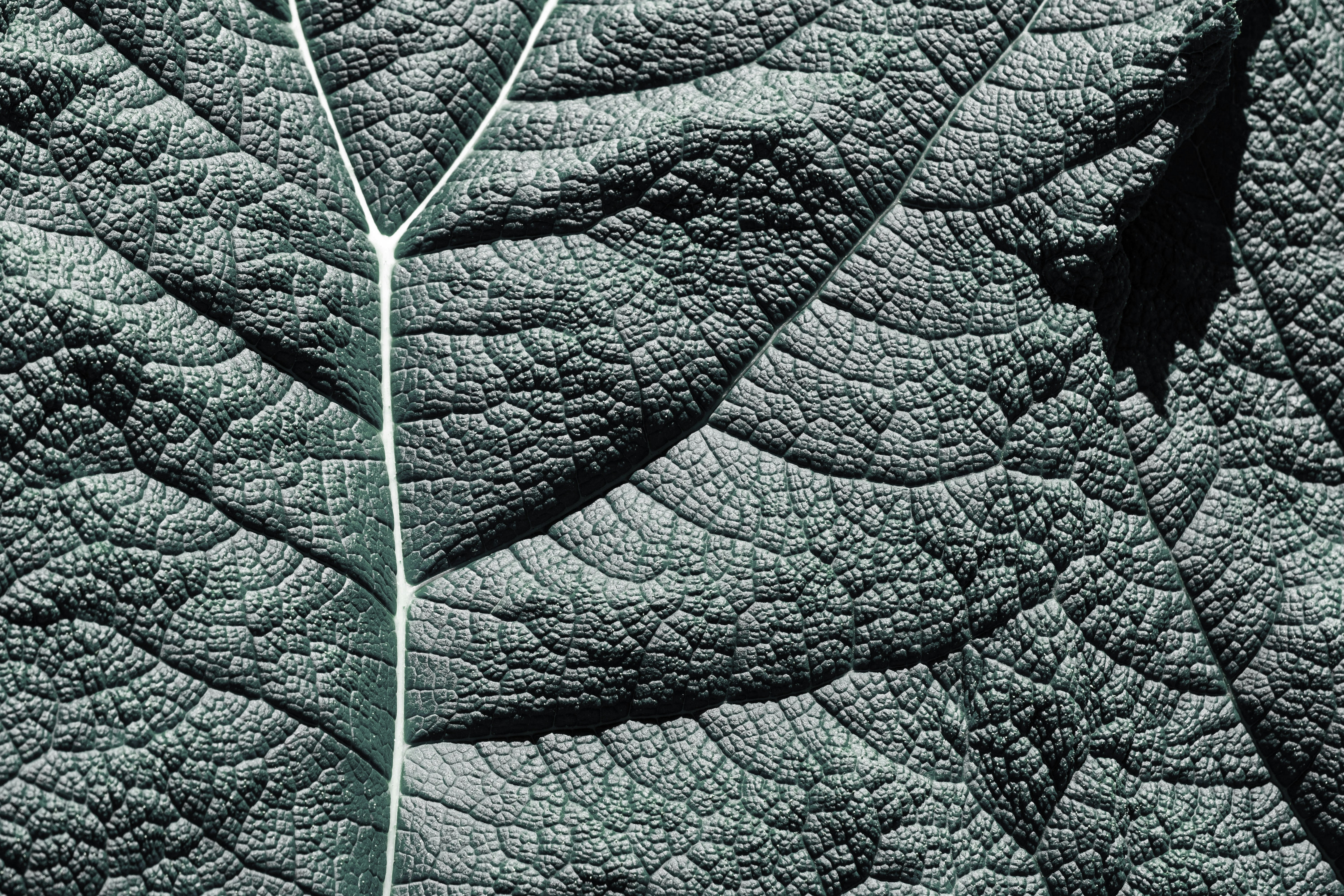 Environmental Awareness: Why It Matters Now More Than Ever