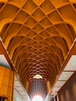 A curved wooden ceiling structure with an intricate lattice design extends across the interior space, providing a warm and natural aesthetic. The geometric pattern creates a sense of depth and complexity. The surrounding walls are lined with wooden panels and white insets, contributing to the elegant architectural style.