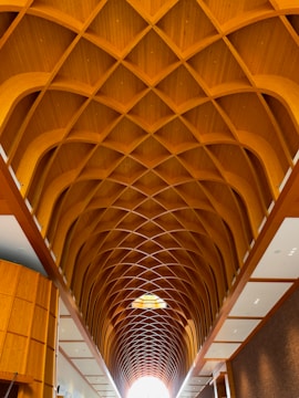 A curved wooden ceiling structure with an intricate lattice design extends across the interior space, providing a warm and natural aesthetic. The geometric pattern creates a sense of depth and complexity. The surrounding walls are lined with wooden panels and white insets, contributing to the elegant architectural style.