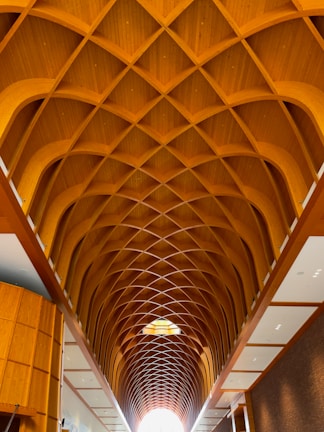 A curved wooden ceiling structure with an intricate lattice design extends across the interior space, providing a warm and natural aesthetic. The geometric pattern creates a sense of depth and complexity. The surrounding walls are lined with wooden panels and white insets, contributing to the elegant architectural style.