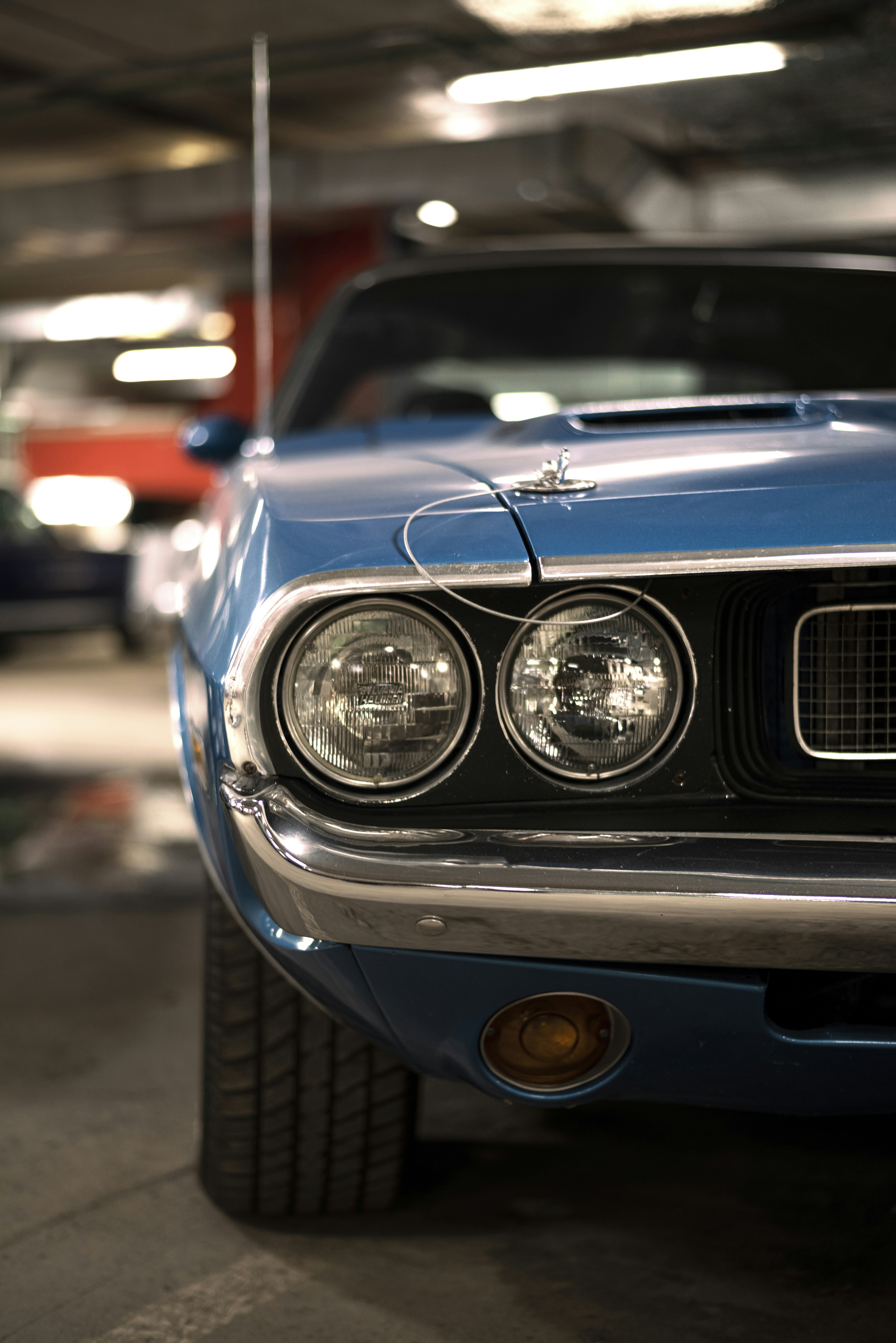 Photo by vadutskevich