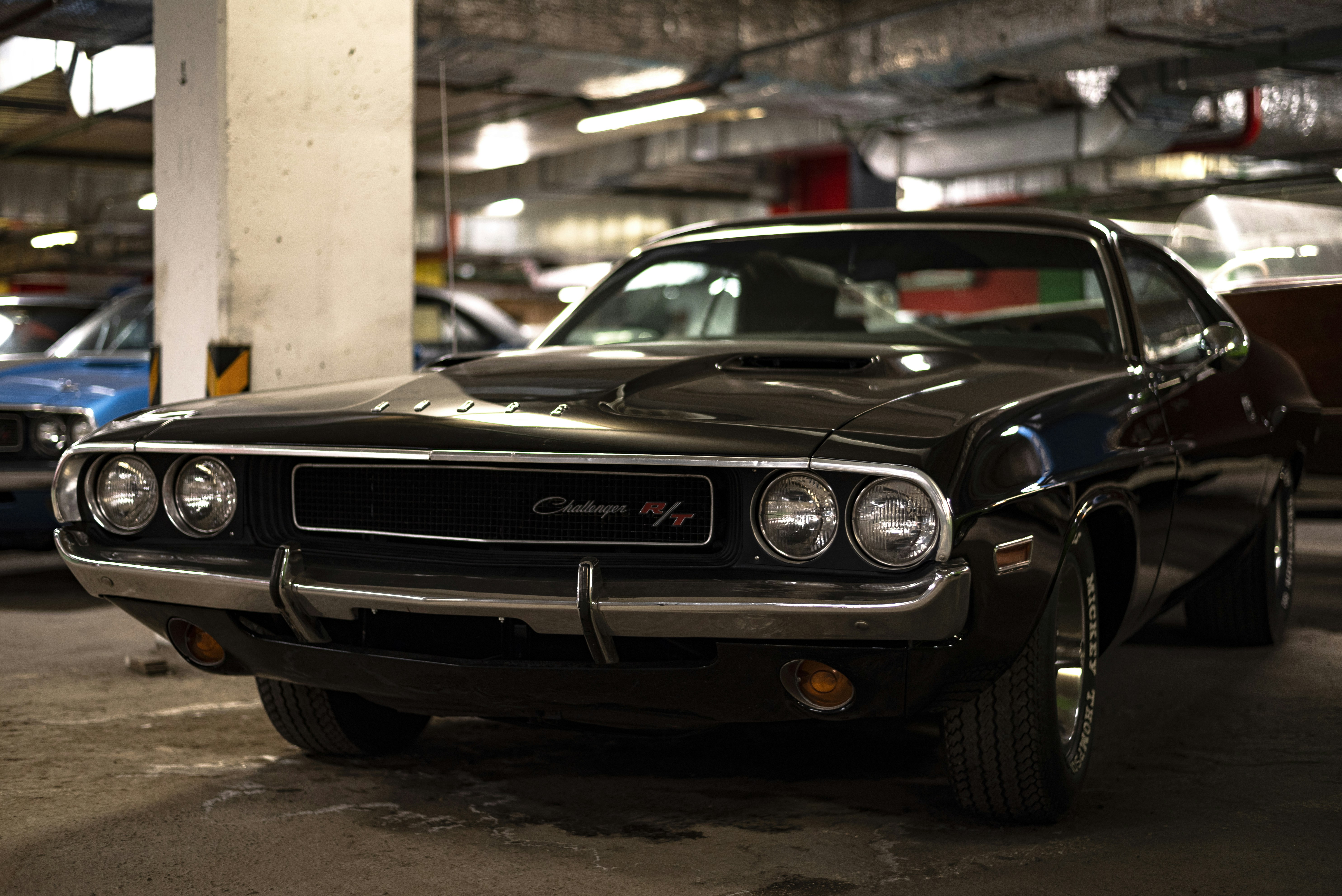 Photo by vadutskevich