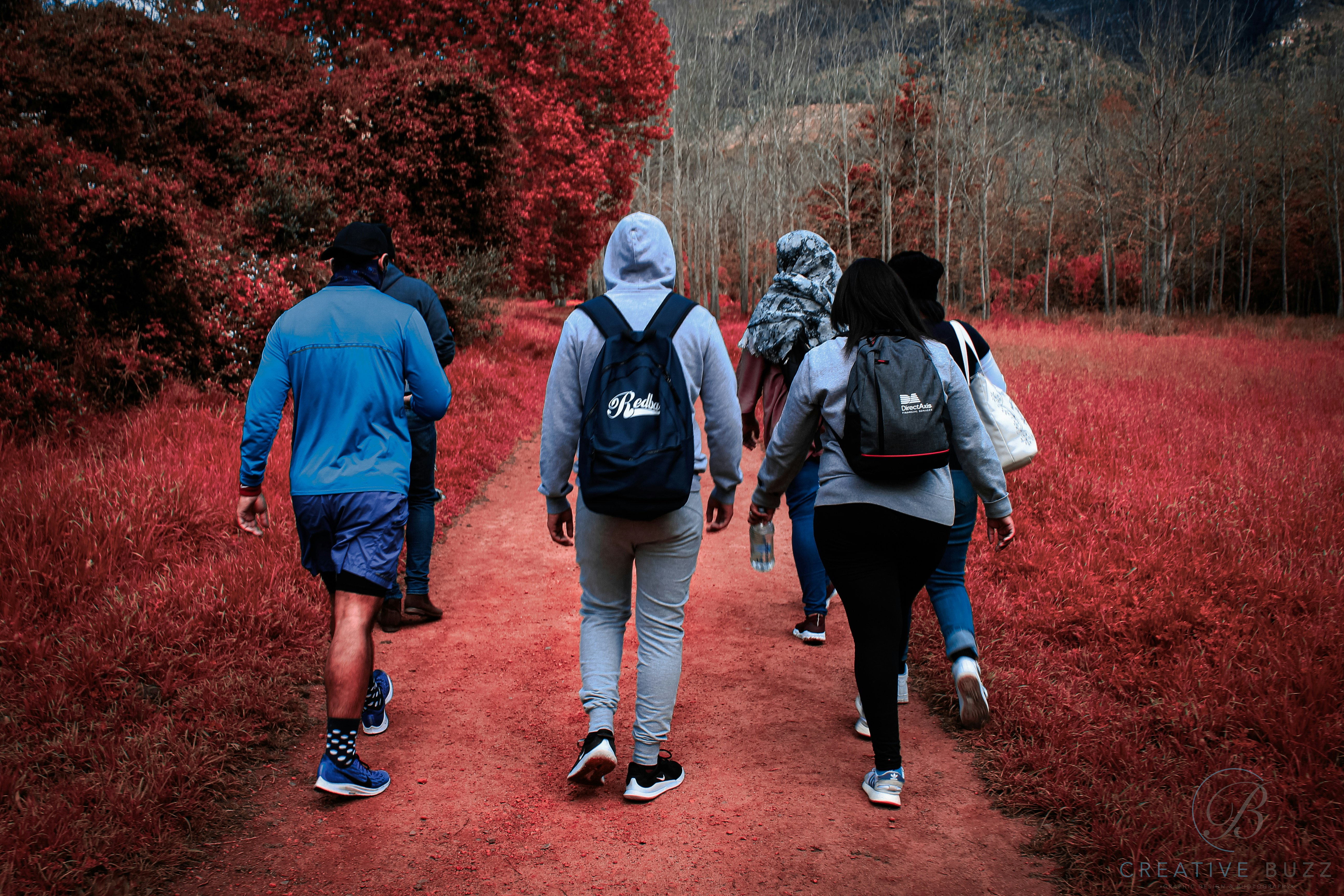 Cape Town Backpackers