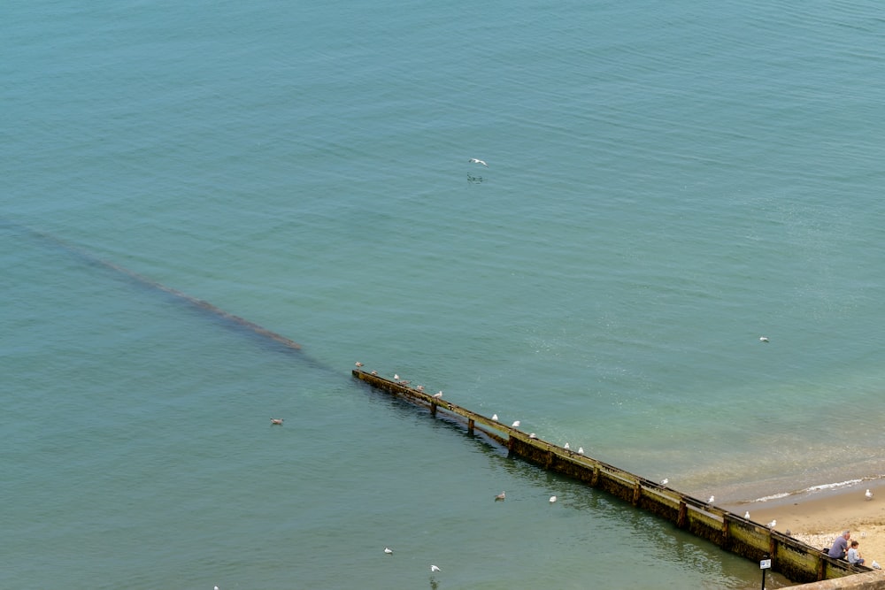 a pier with birds flying over it