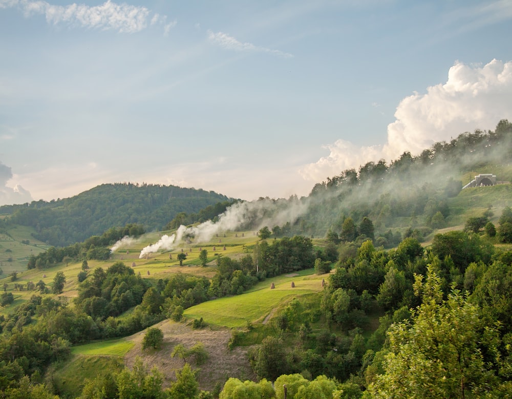 a landscape with trees and hills