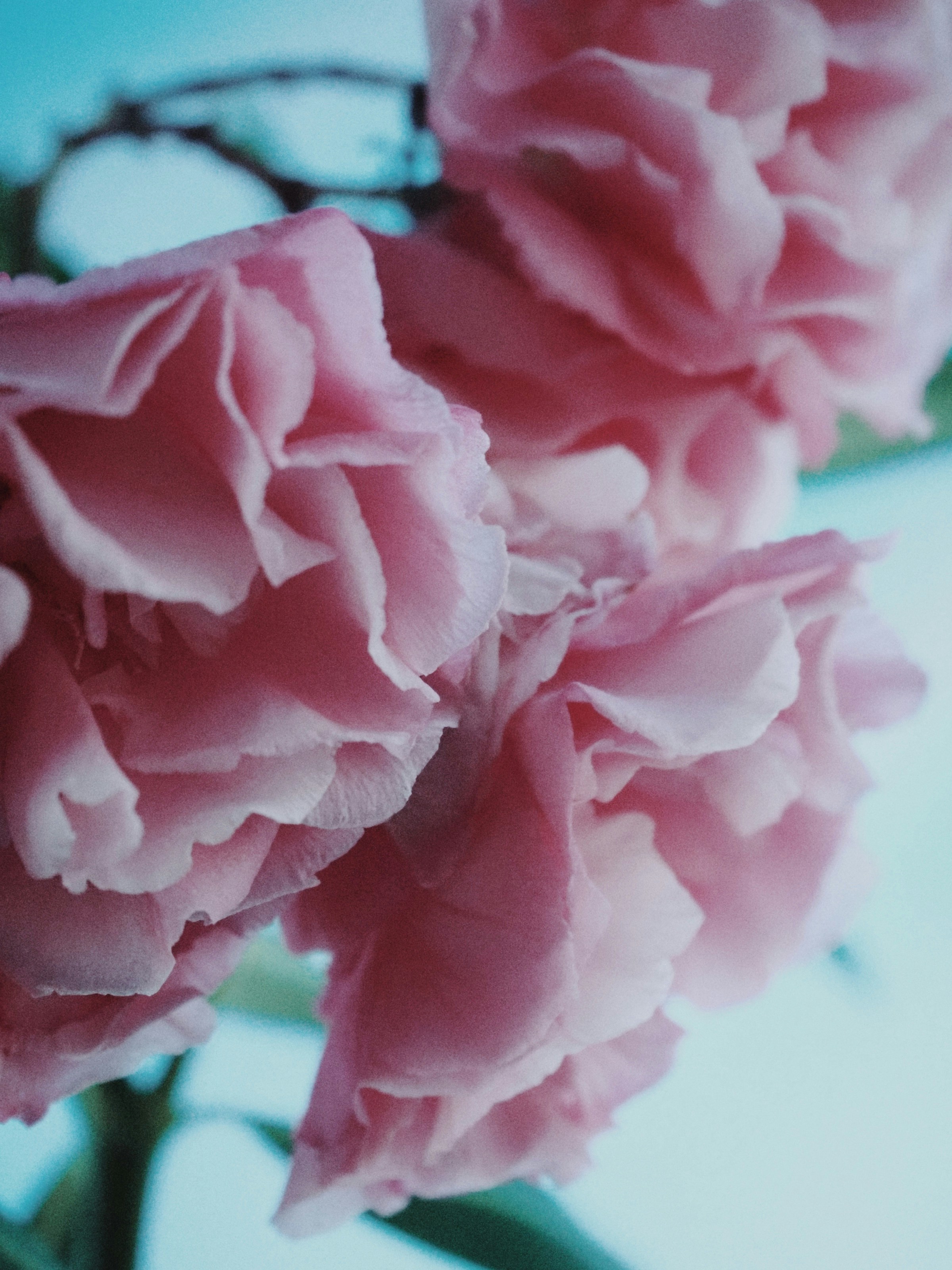 Photo by trofimova_photographer