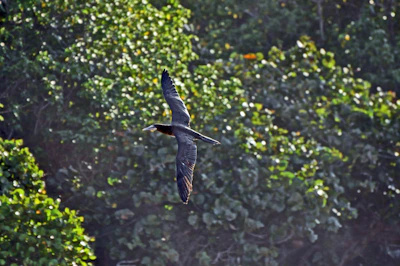 Man standing against a backdrop of vivid bird feathers, reflecting freedom and flight.