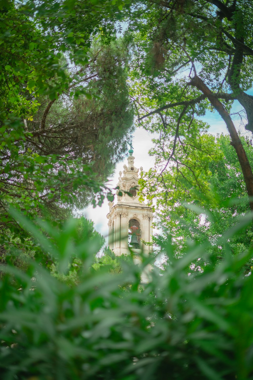 Un piccolo edificio nel mezzo di una foresta