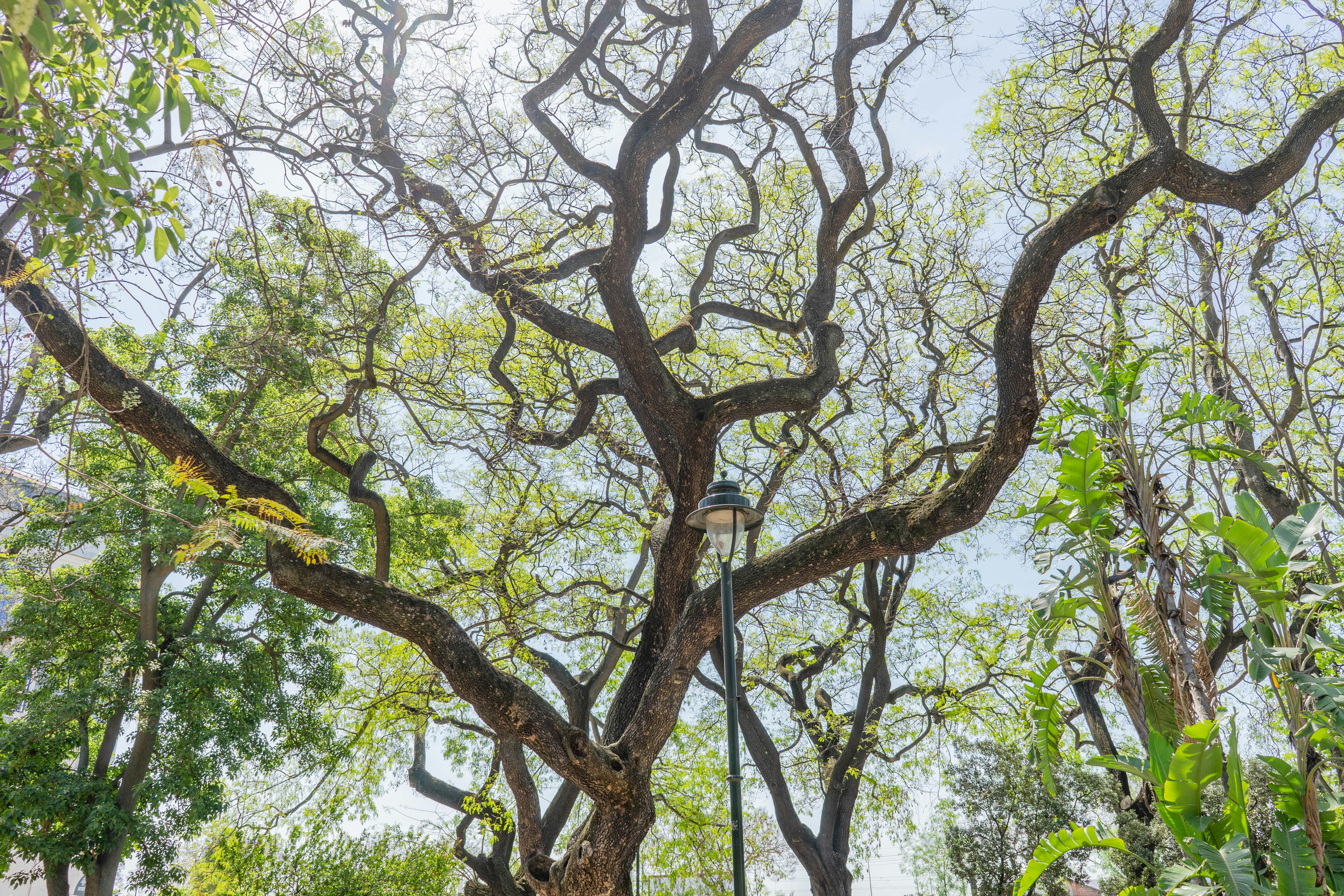 Photo by freguesiadeestrela