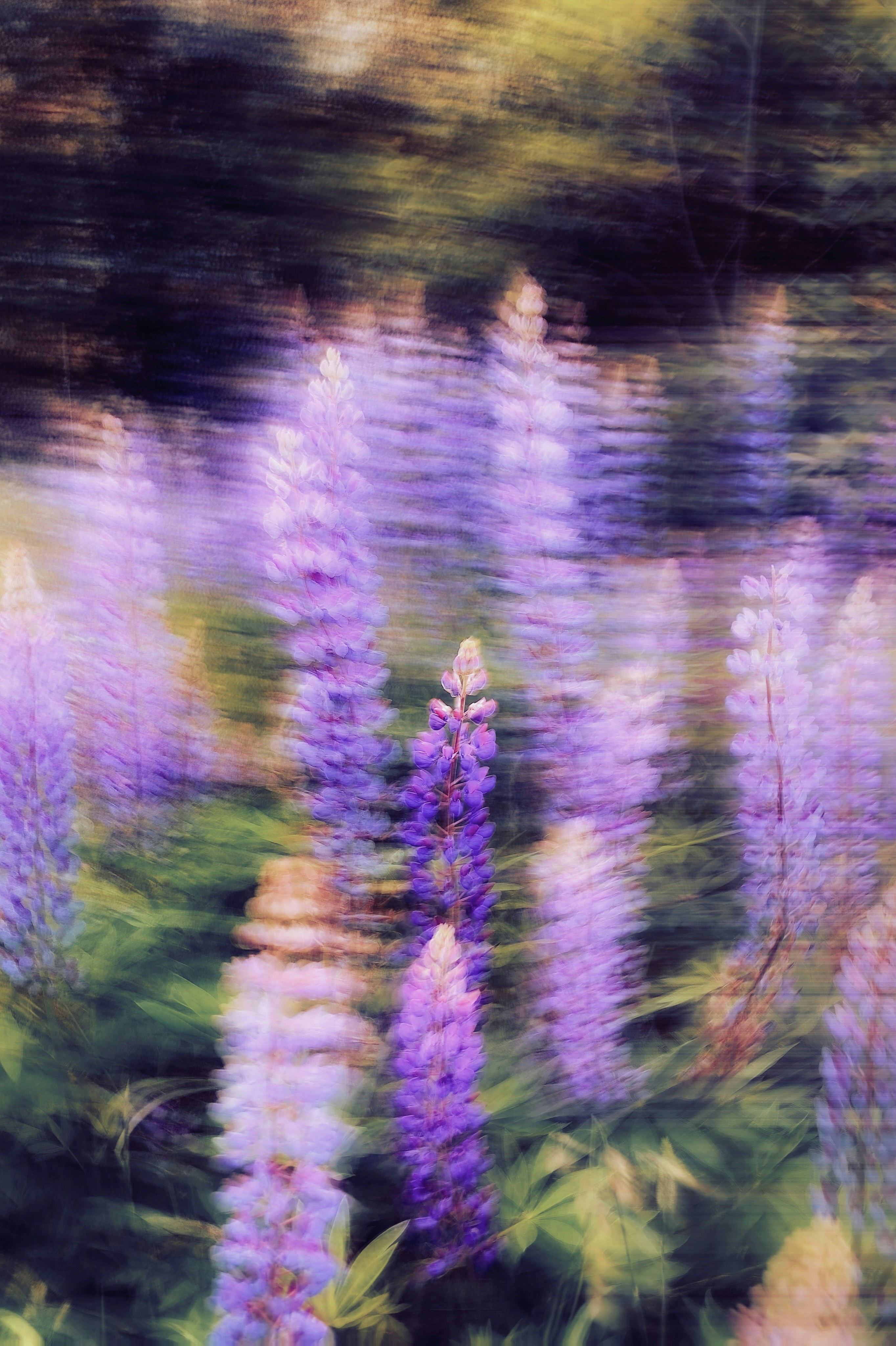 Photo by eugene_golovesov