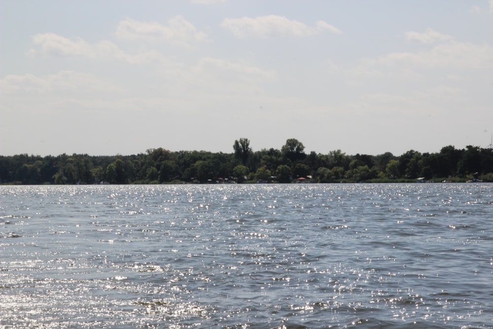 a body of water with trees in the background