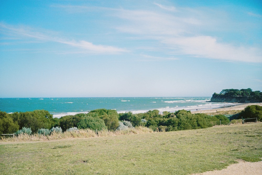 a grassy area with trees and a body of water in the background