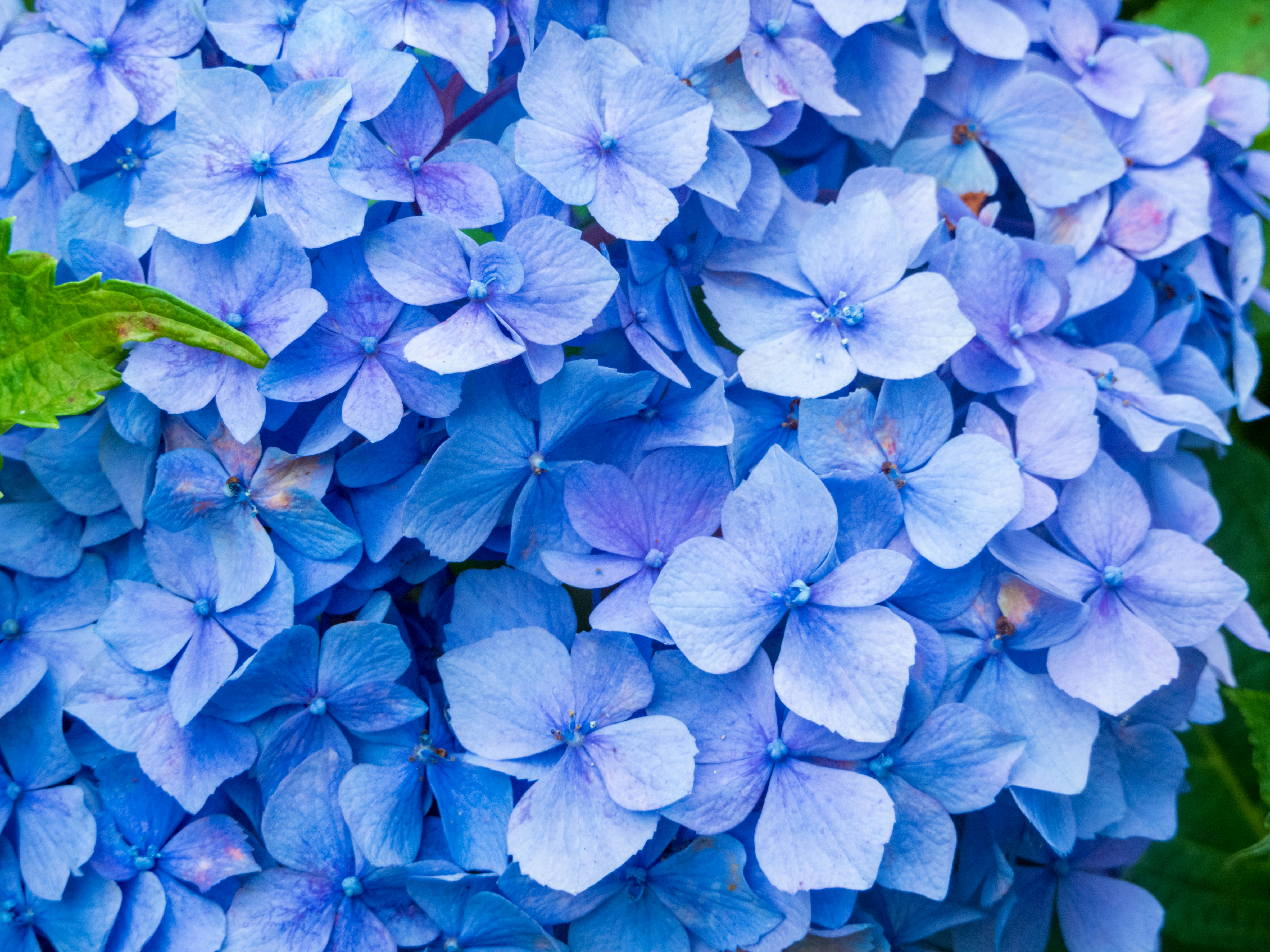 Photo by heppoko_yama