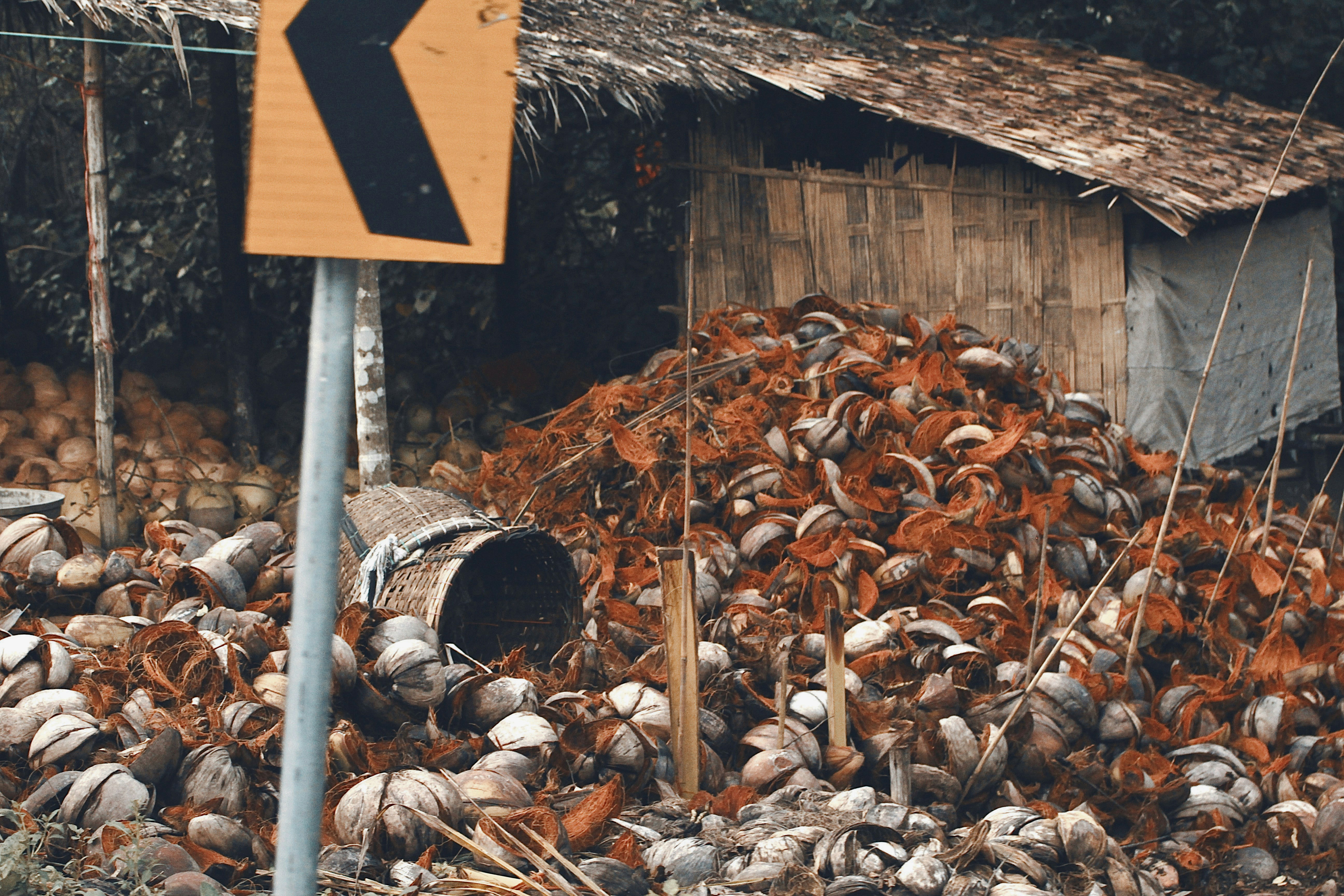 a pile of wood next to a building