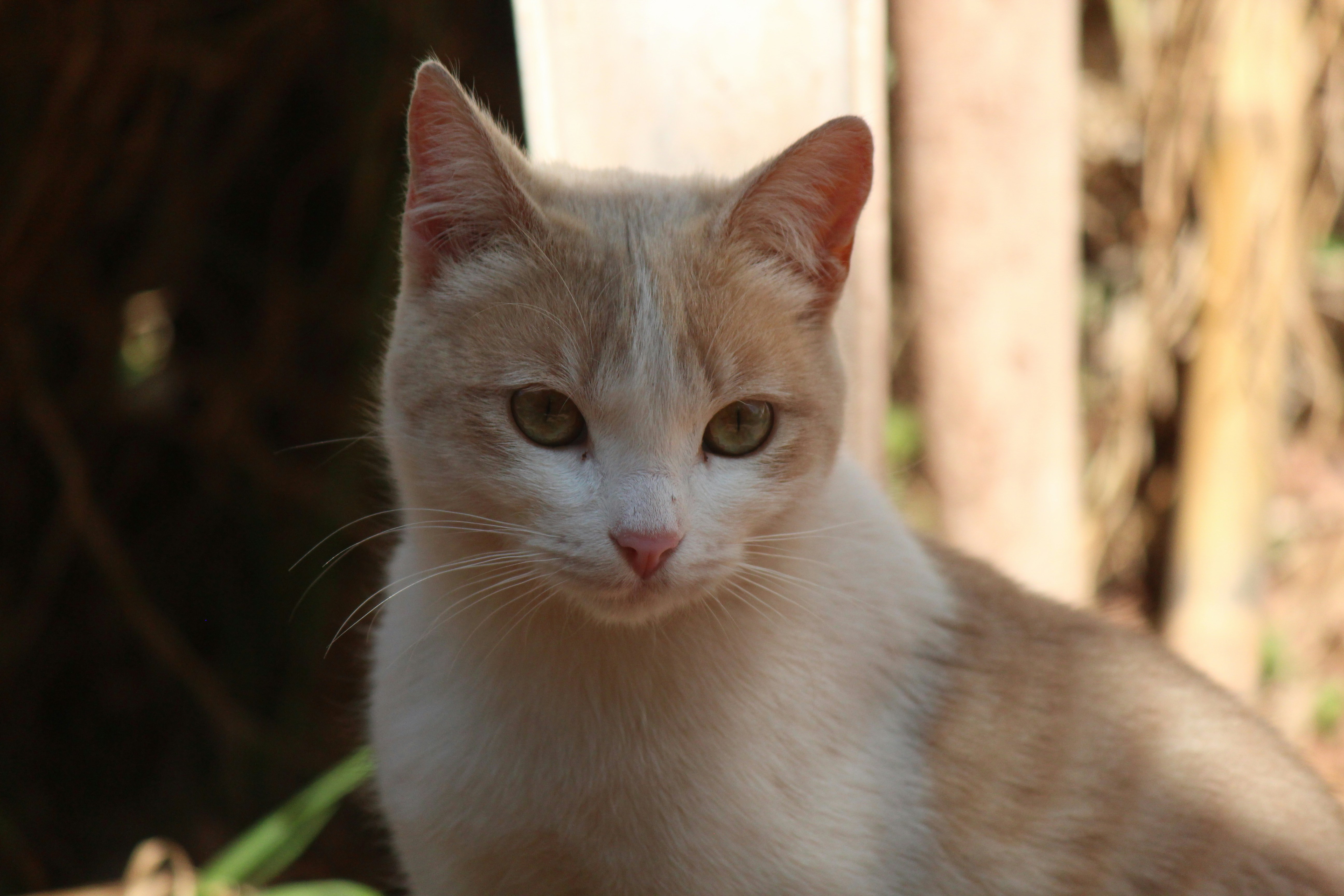 Photo by elmountassir1