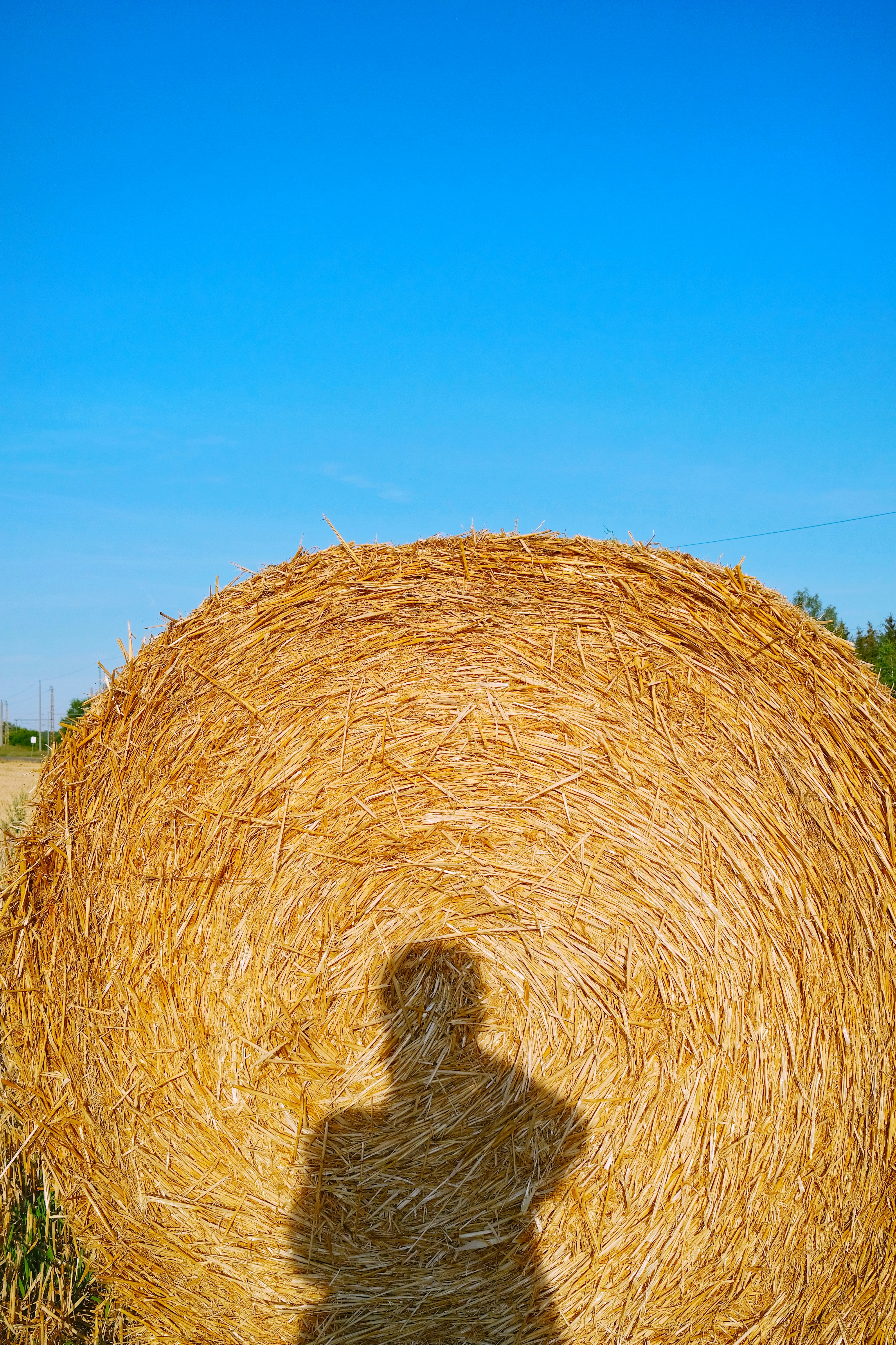 a close-up of a bale of hay