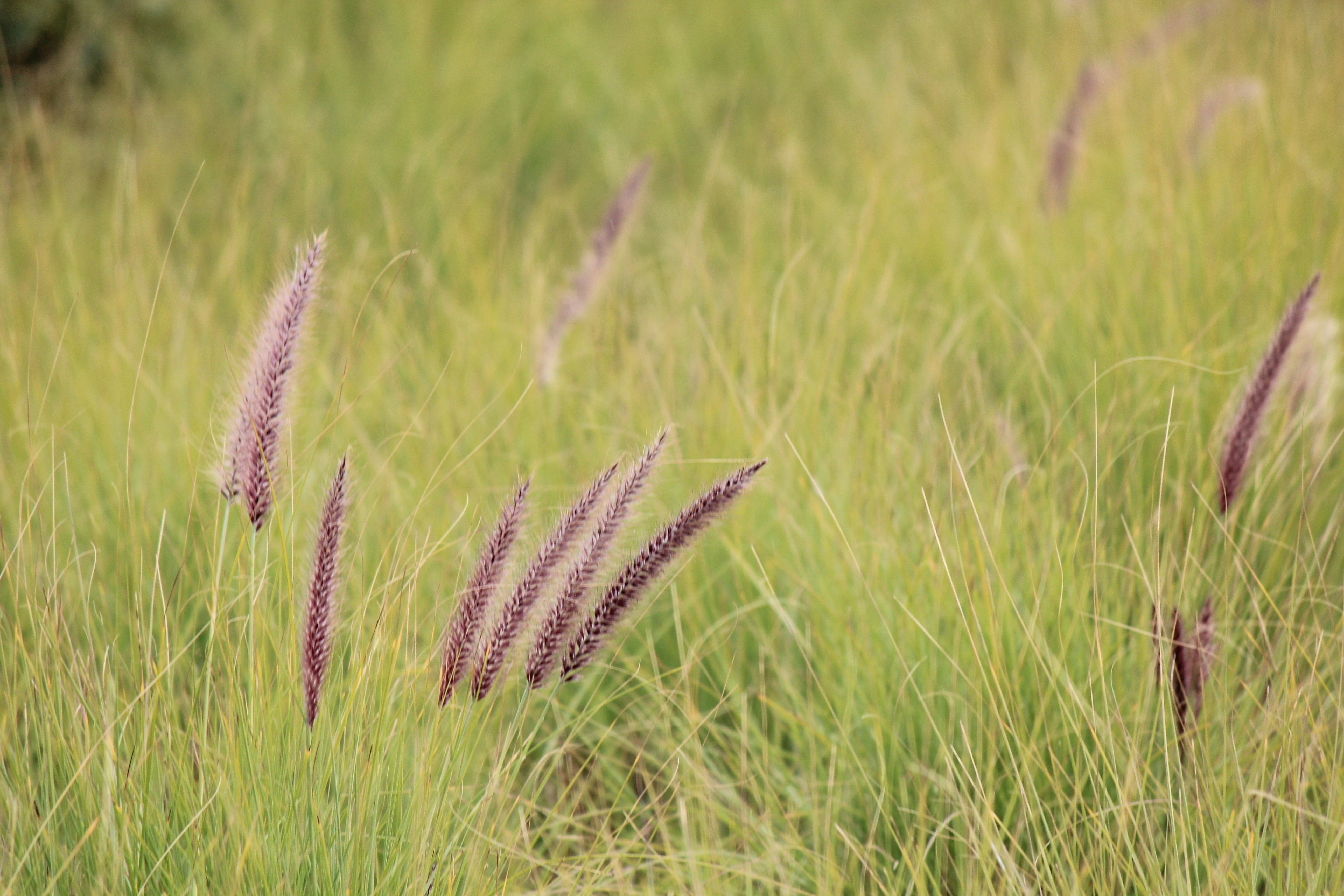 Photo by elmountassir1