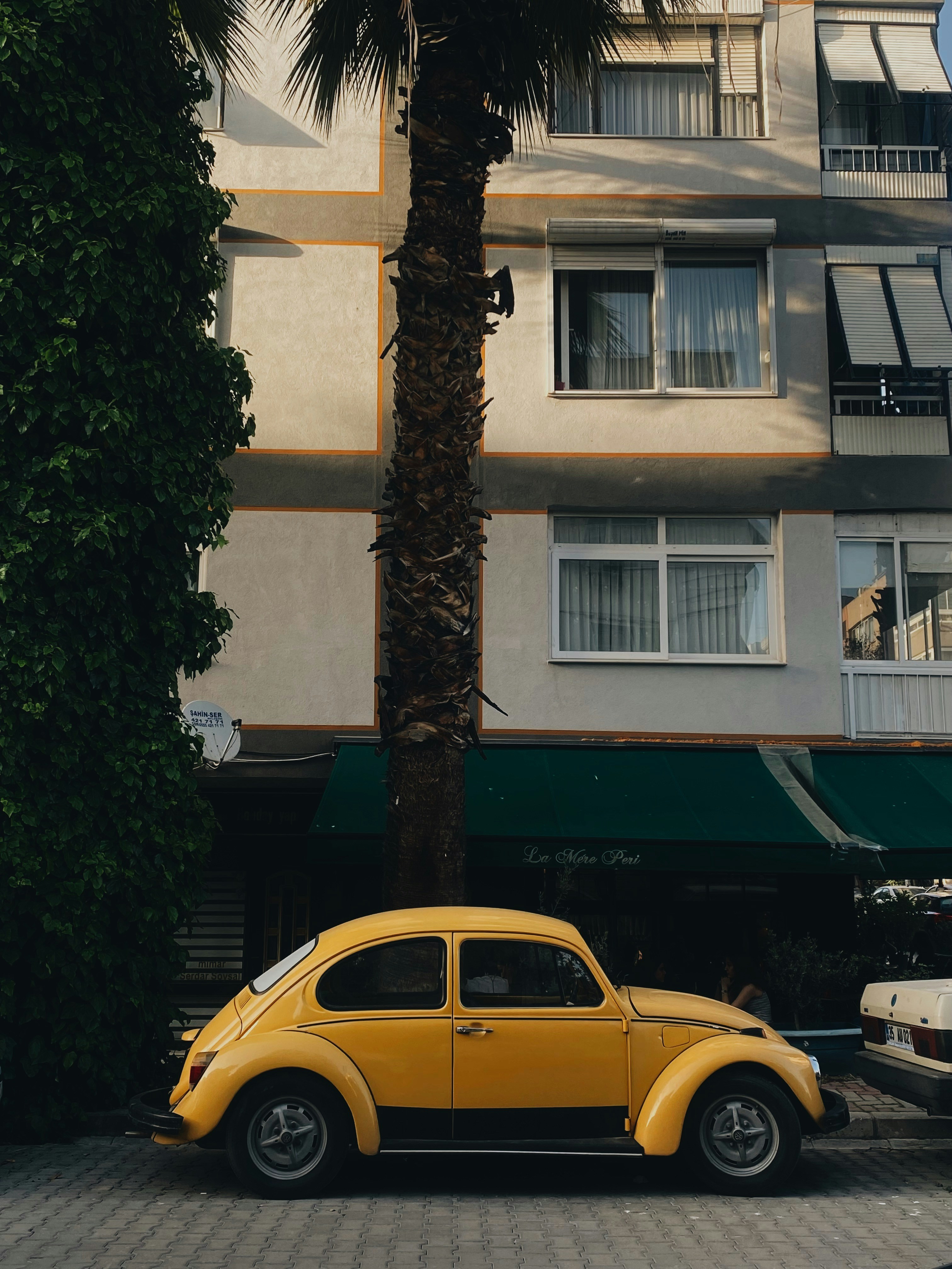 Photo by shakilakhabiri