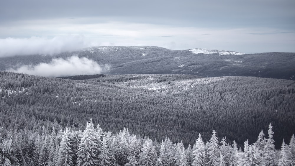 a snowy mountain range