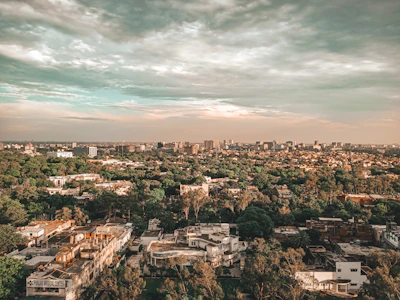Rooftop view showing a cityscape with a mix of commercial buildings and green spaces.