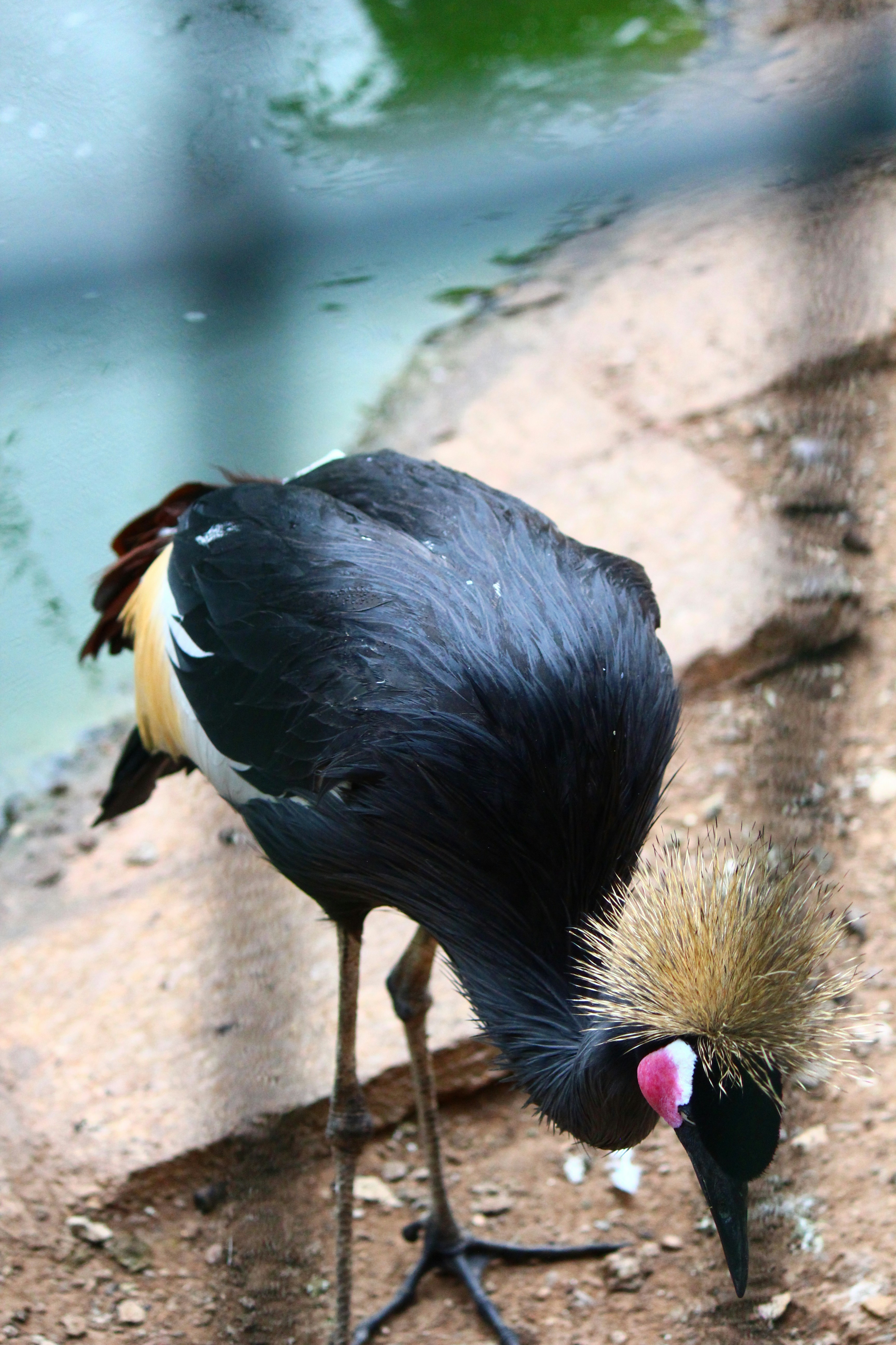 Photo by elmountassir1