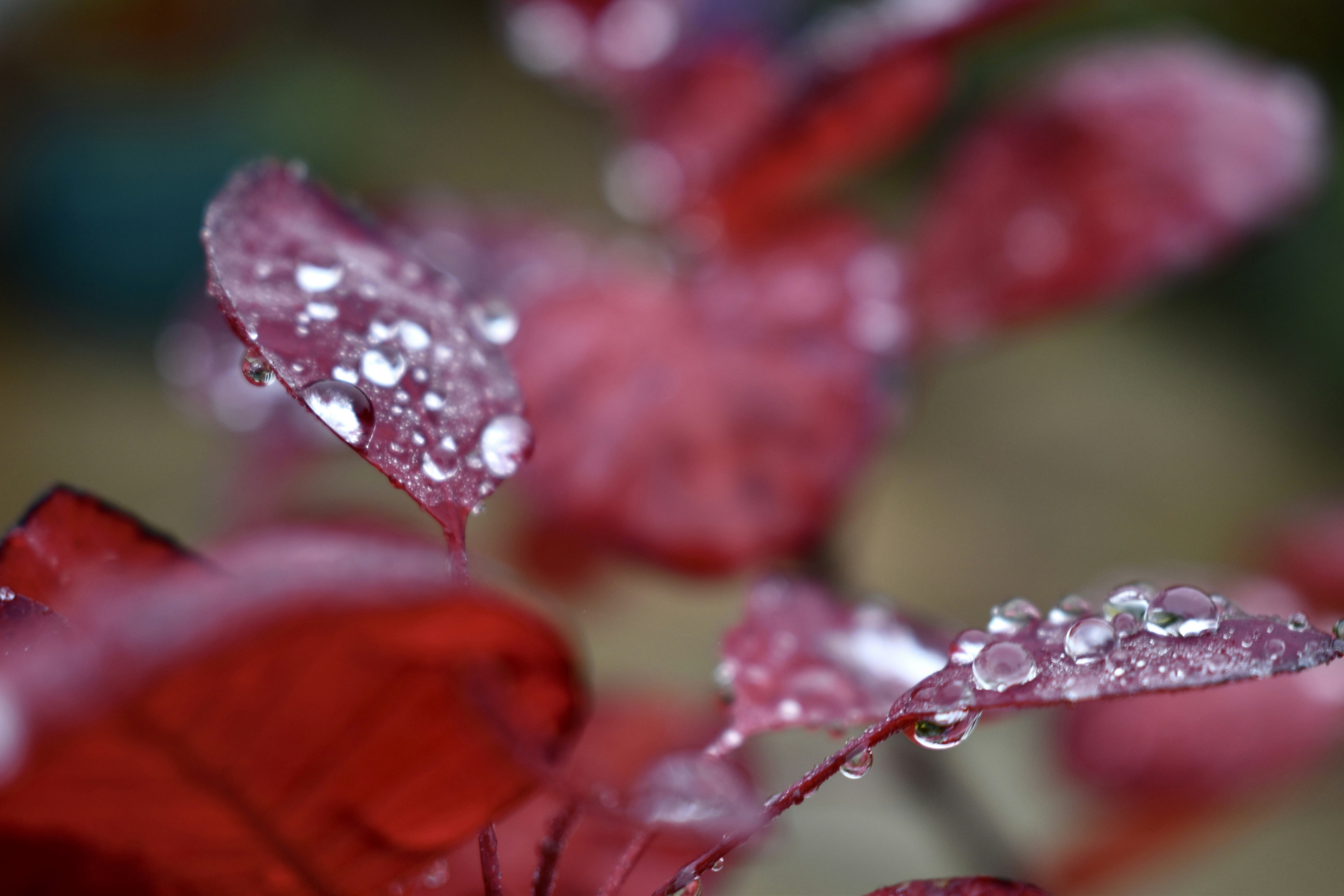 Photo by max_brindley