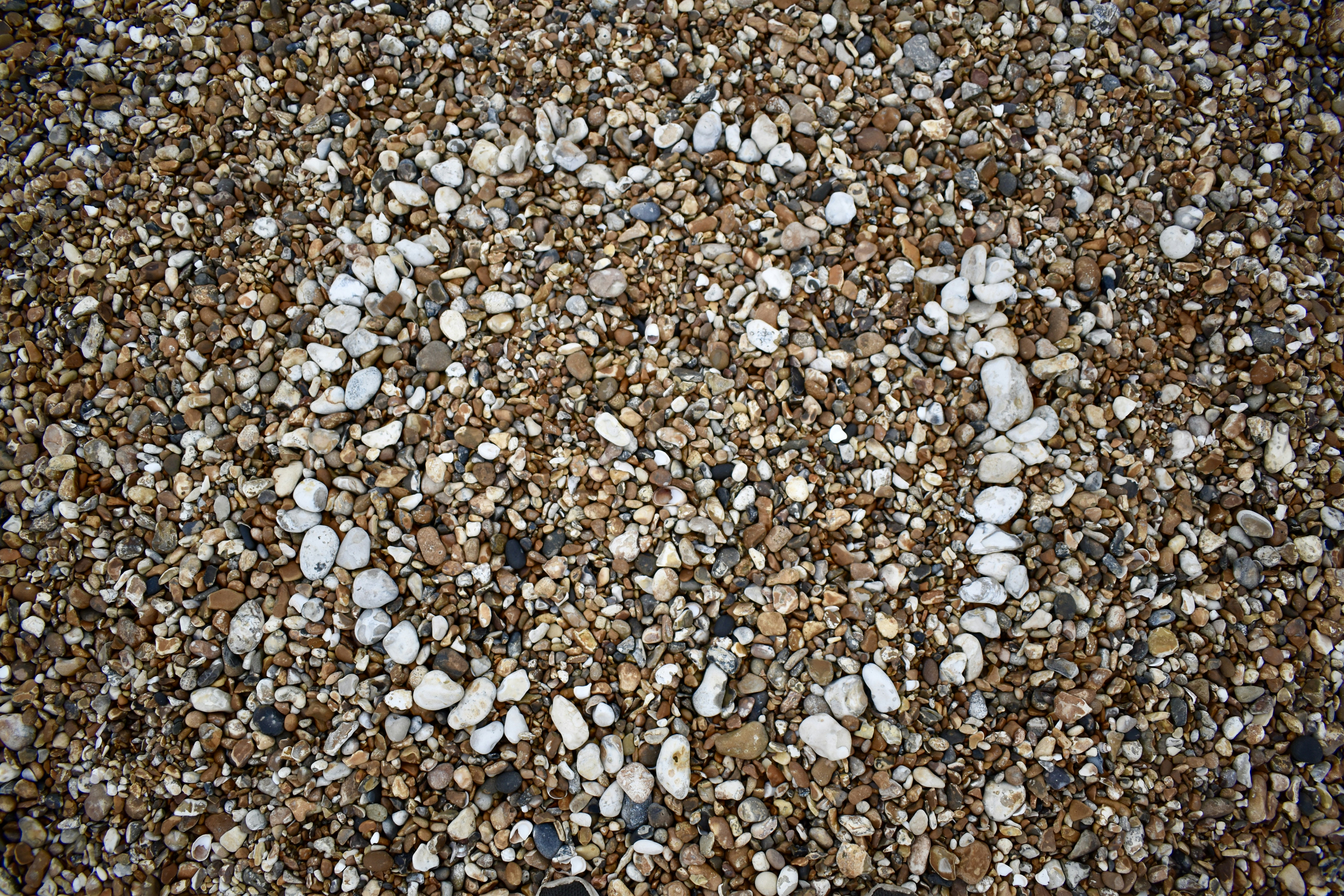 Photo by max_brindley