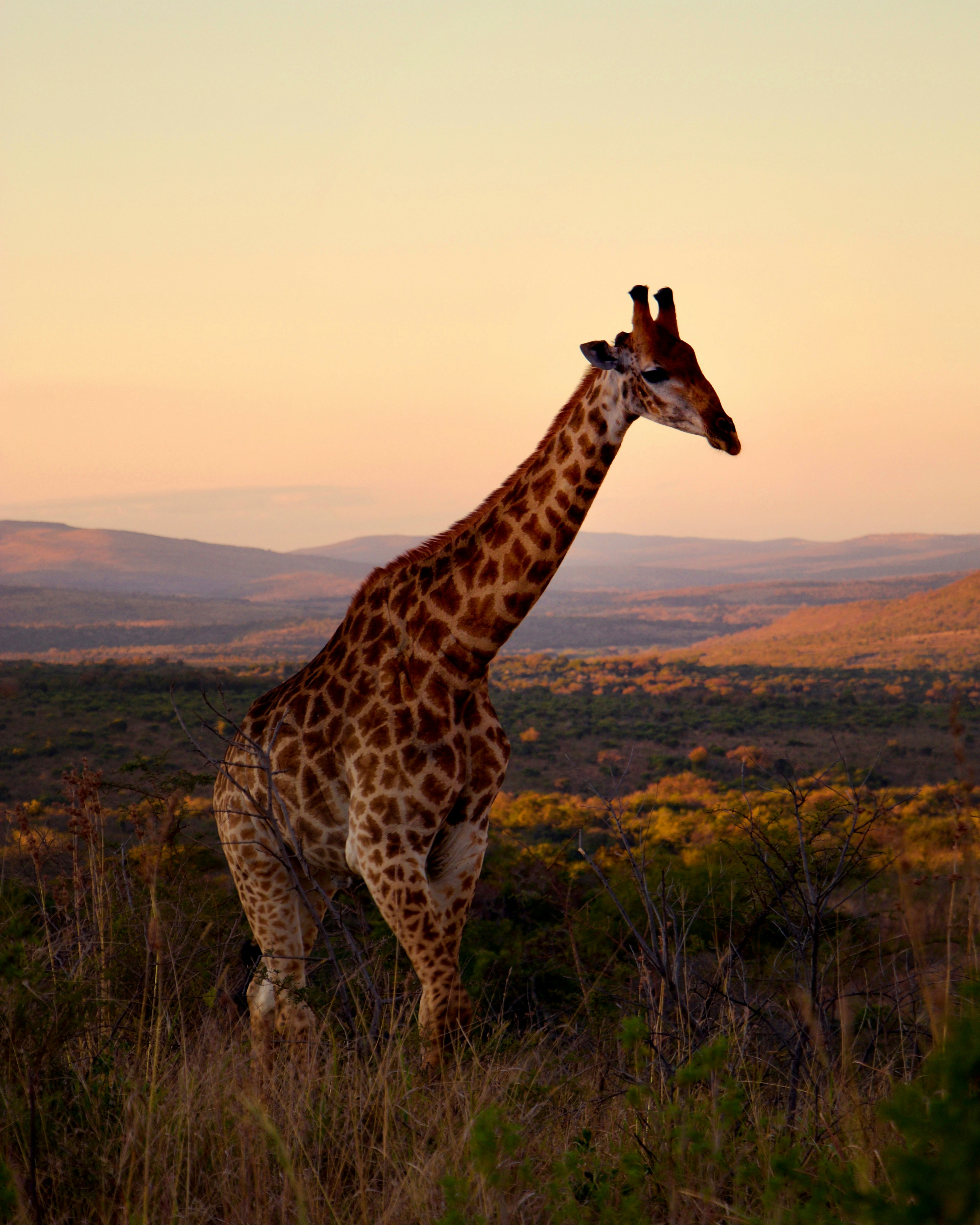 Photo by eastern_es_cape