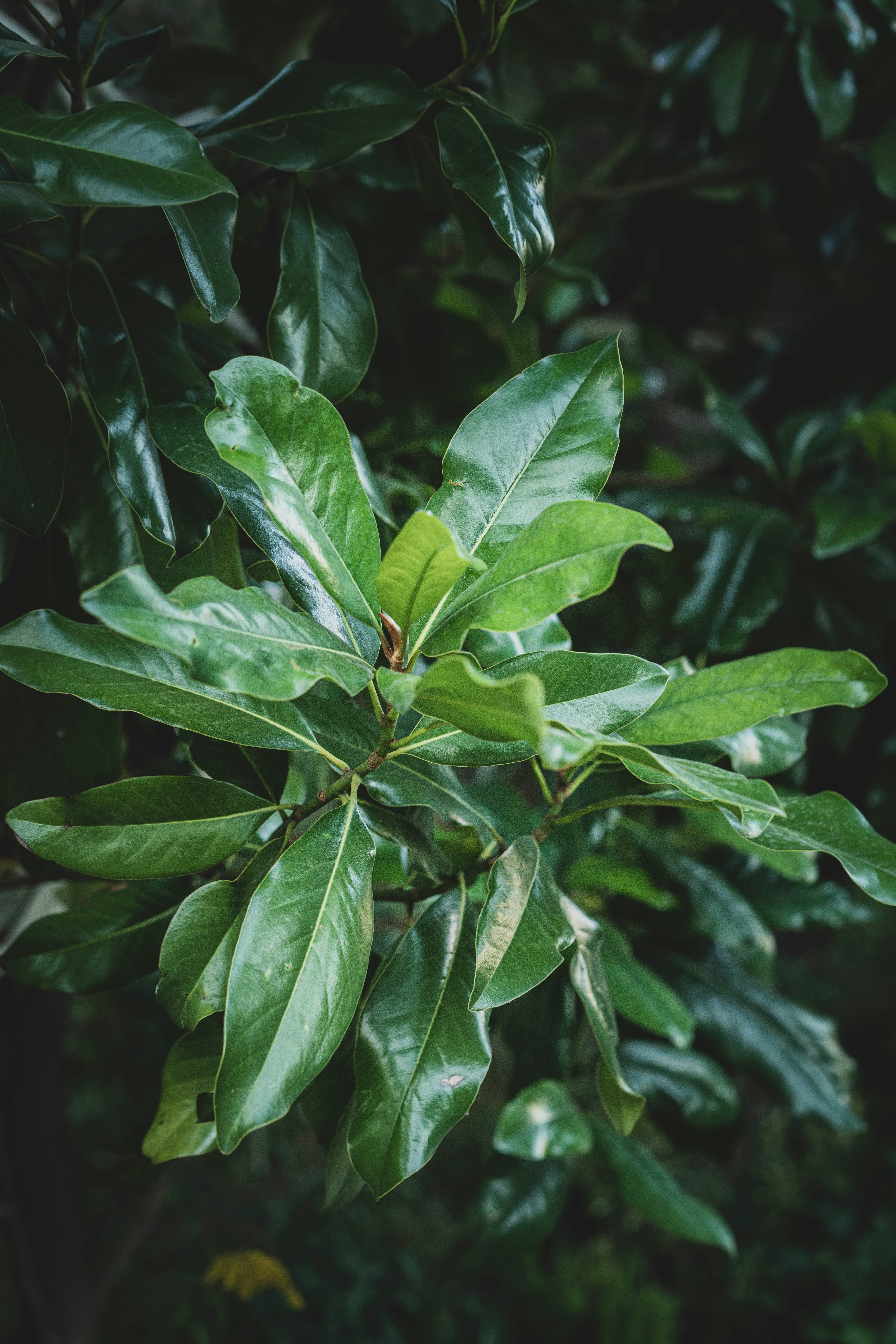 Photo by fairycarousel