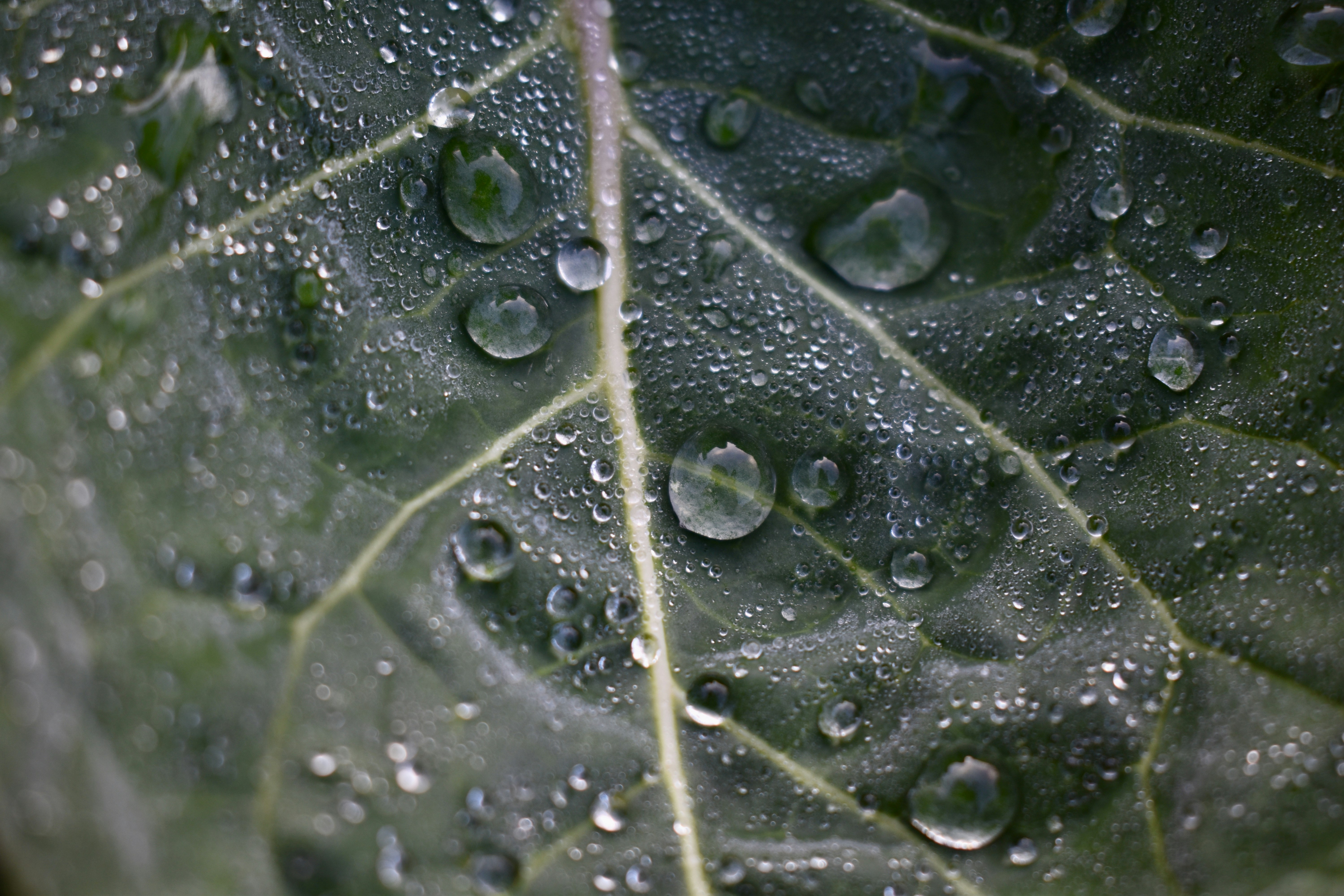 Photo by max_brindley