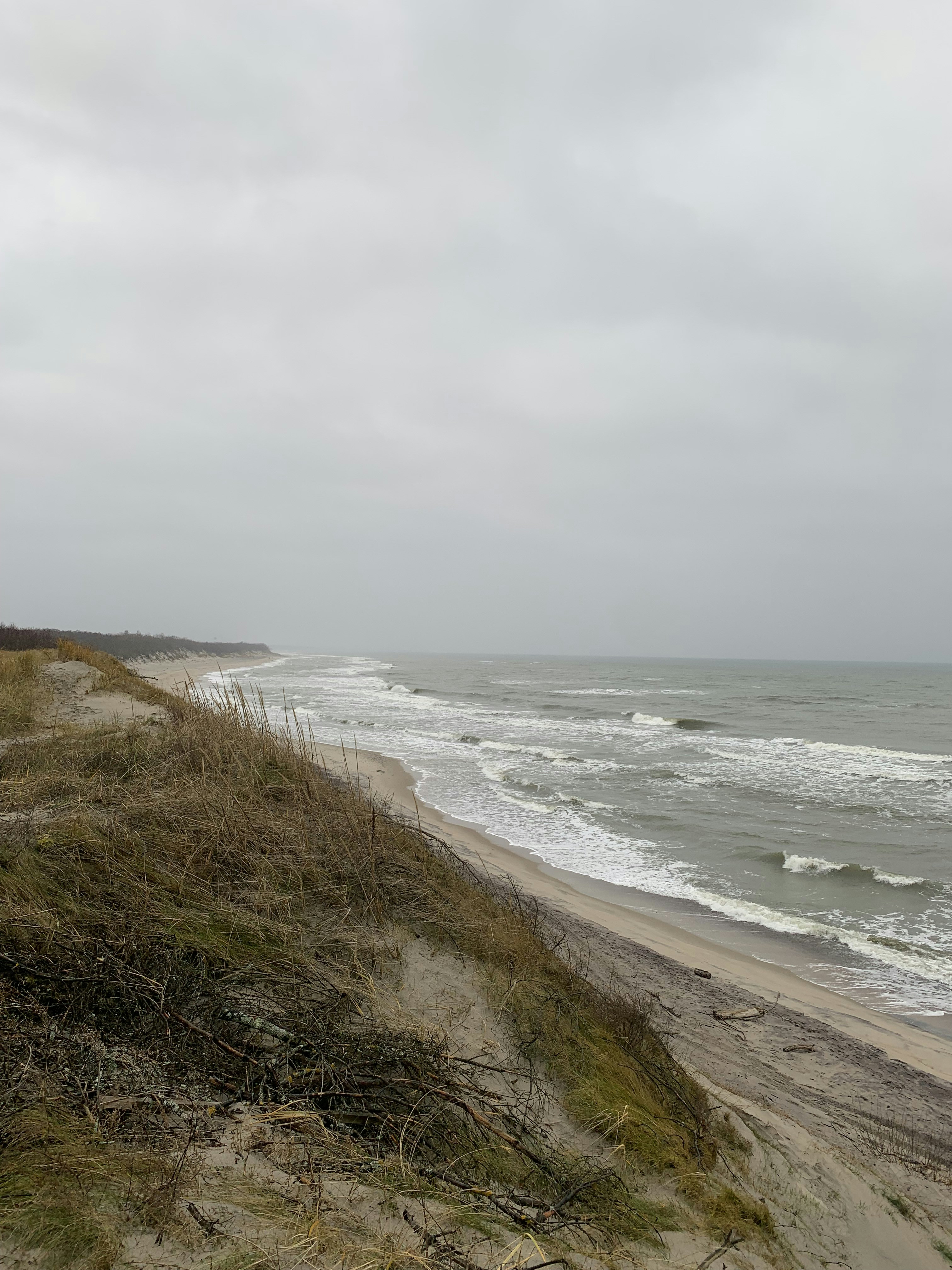 Normandy D-Day beach at dawn, dramatic overcast sky, grey sand, emotional atmosphere, distant cliffs