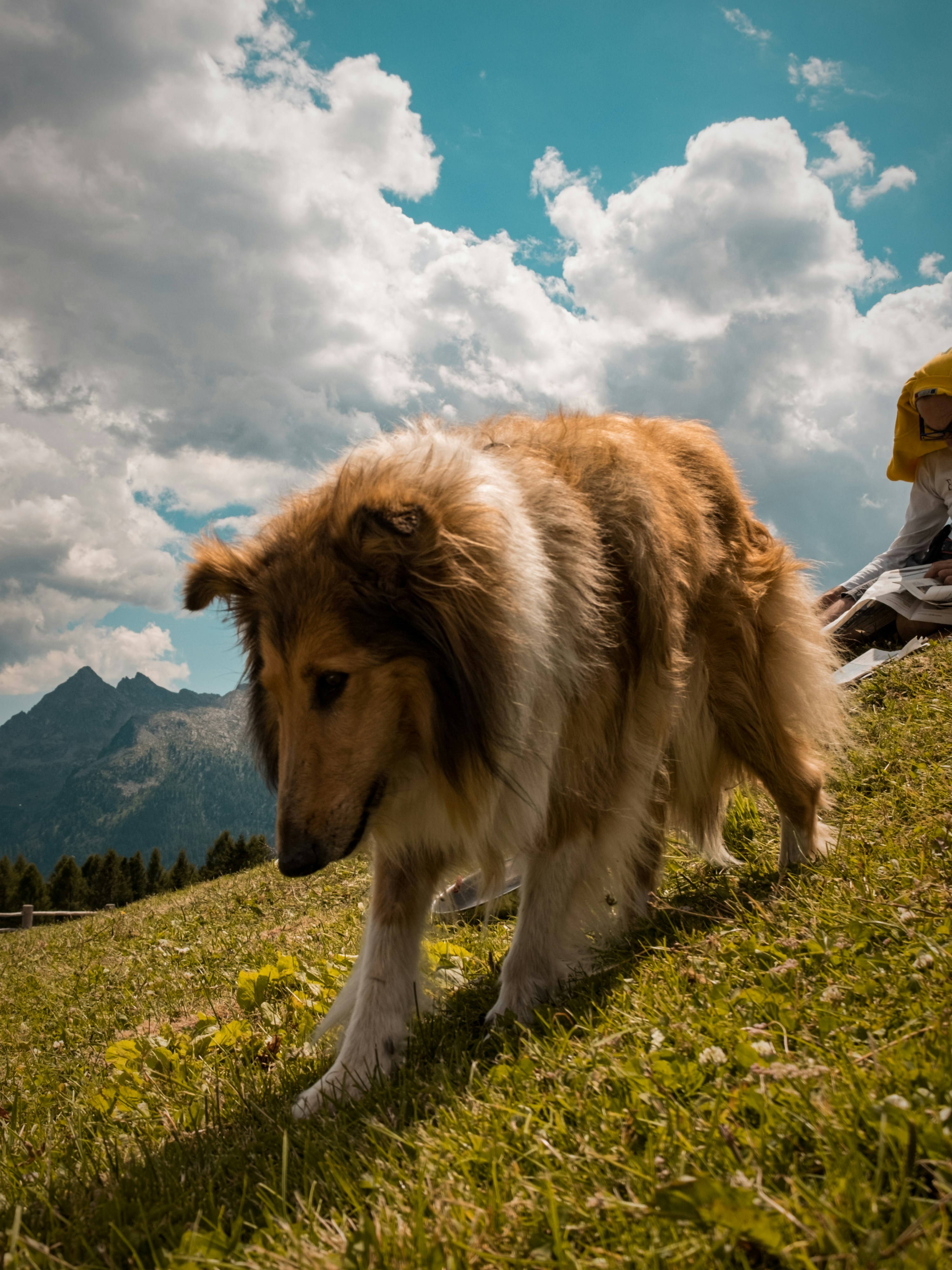 Photo by michele_pagnanii