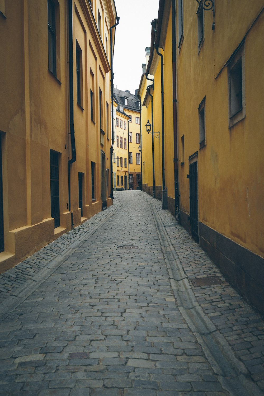 a cobblestone street between buildings